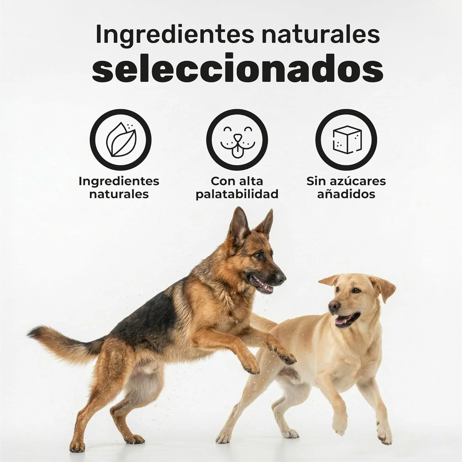 Aceite De Salmón Para Perros. Piel Y Pelo. Suplemento Para Mascotas. 120 Masticables. Natuva Pets - Image 6