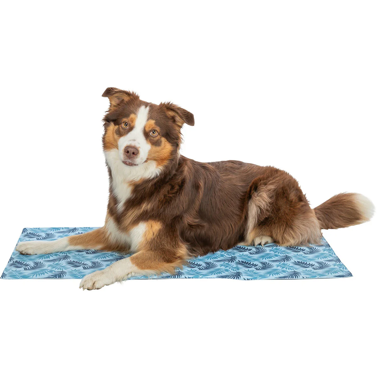 Alfombrilla refrigerante con estampado de hojas, 50 × 40 cm, azul claro - Image 4