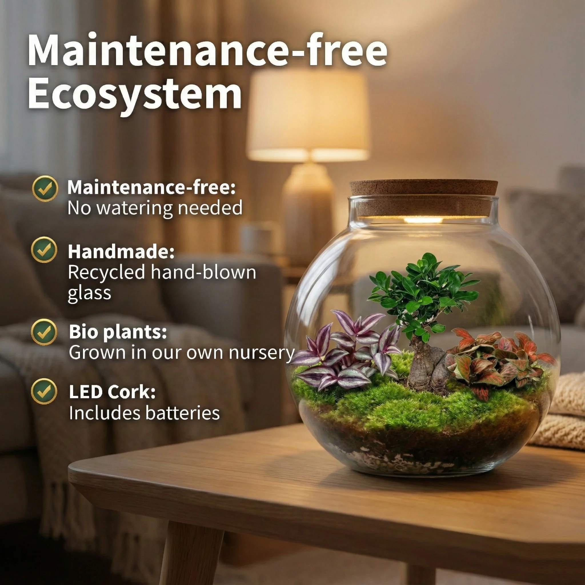 Bonsái Terrario Ecosistema 'biodome' - Ø25 Cm - Image 3