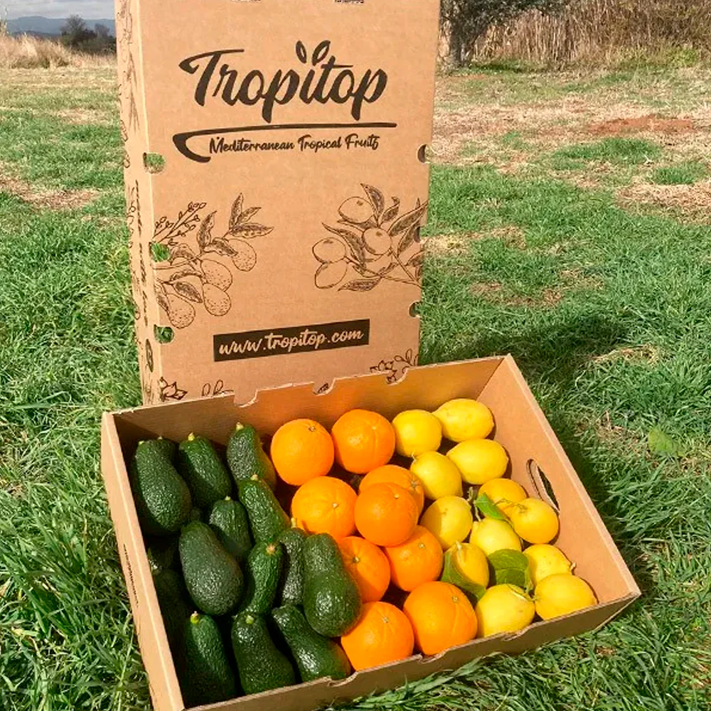 Caja 6kg Aguacates Hass, Naranjas Y Limones Directo Del Campo Tropitop (2kg De Cada Fruta) - Image 6