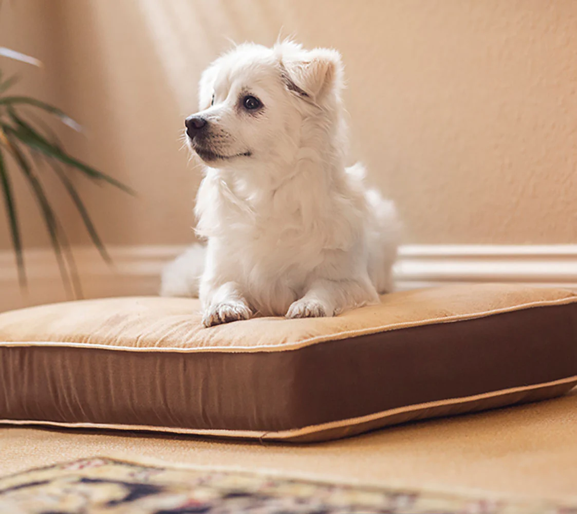 Cama Para Perros Y Gatos- Fácil De Lavar - 3 Tamaños Diferentes En Función Del Tamaño Del Perro - Image 2