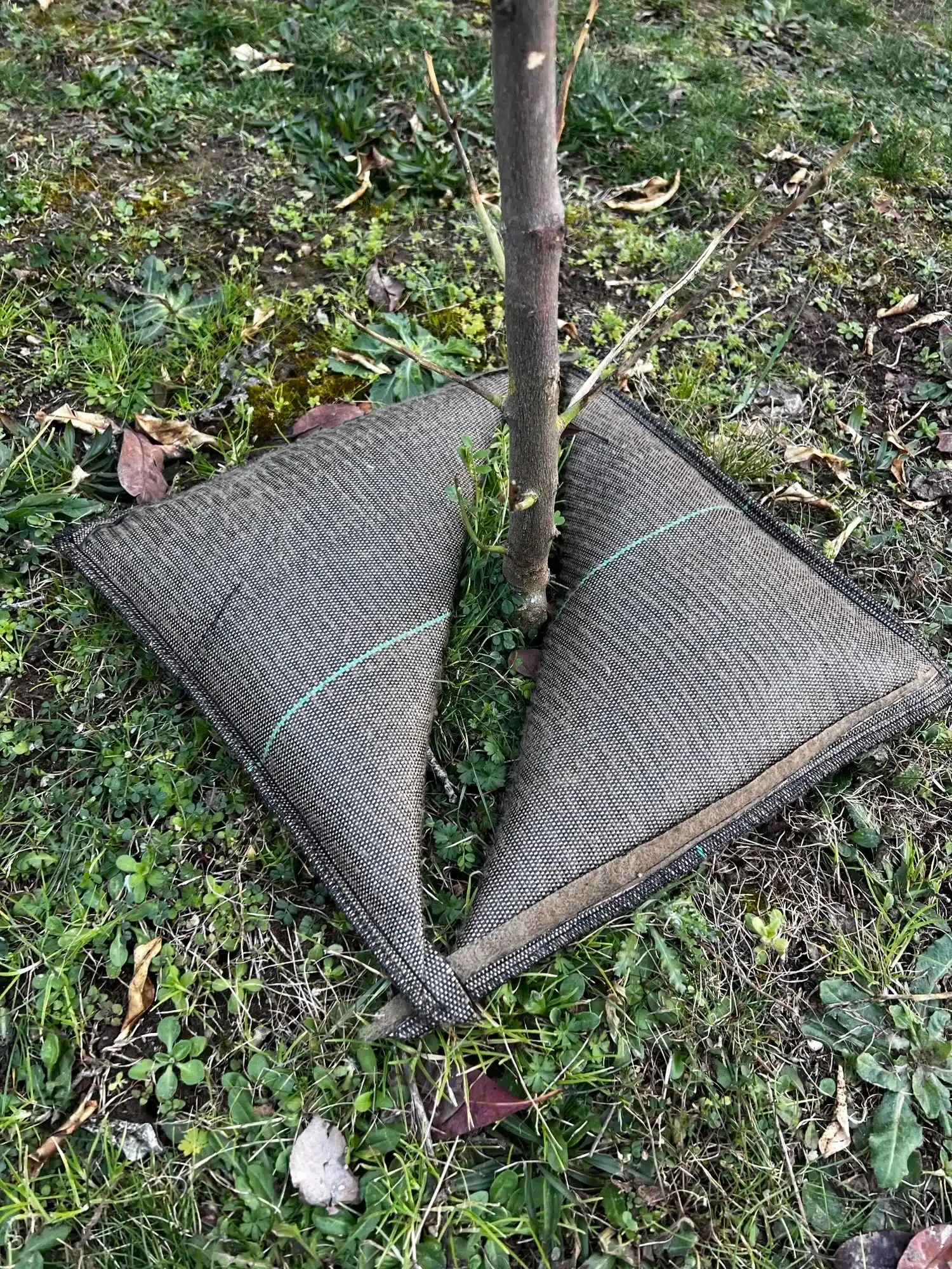 Cojín De Riego Tree’bed 700