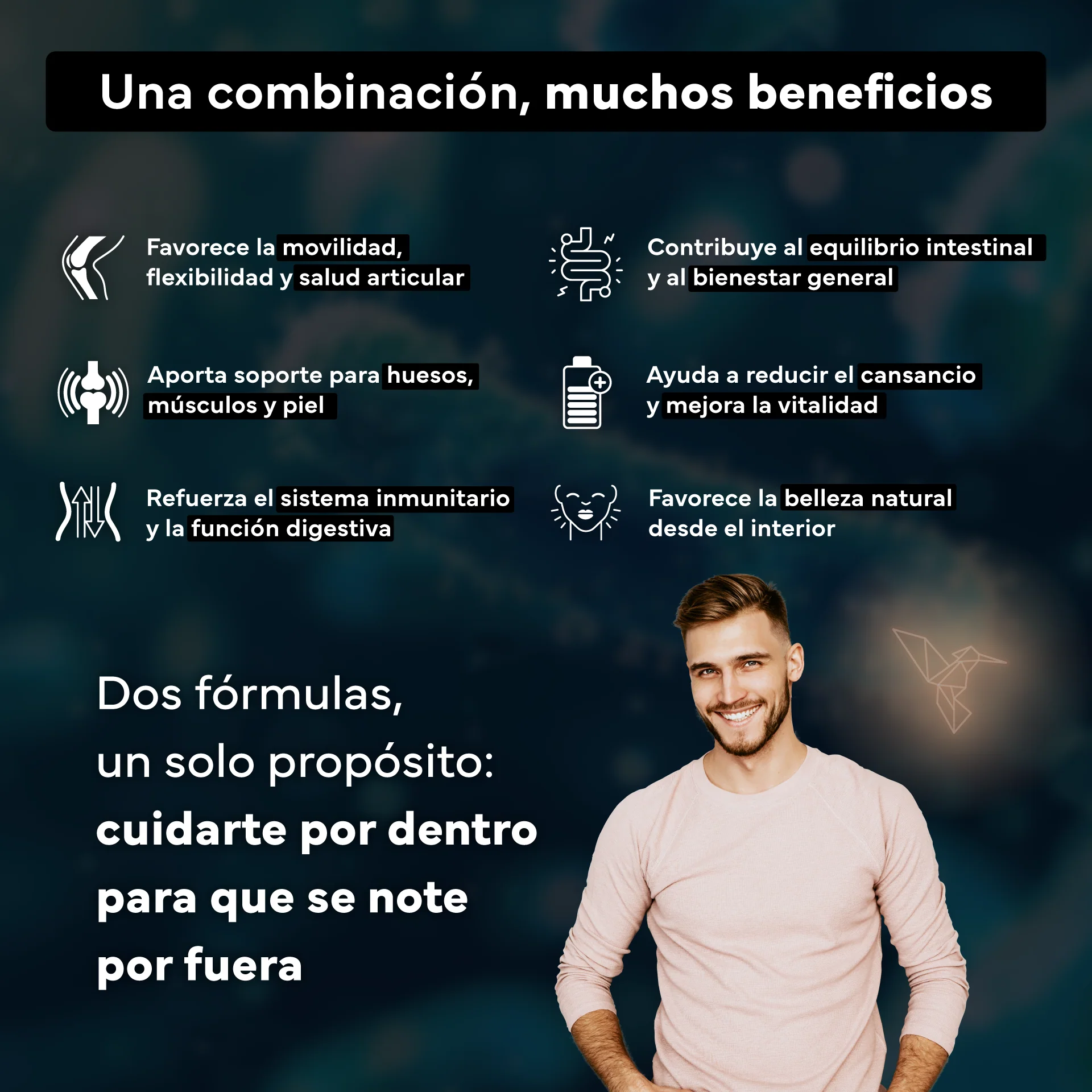 Colágeno Marino Con Magnesio + Probióticos Y Prebióticos. Sevens Nutrition. Salud Digestiva, Piel Y Articulaciones - Image 3