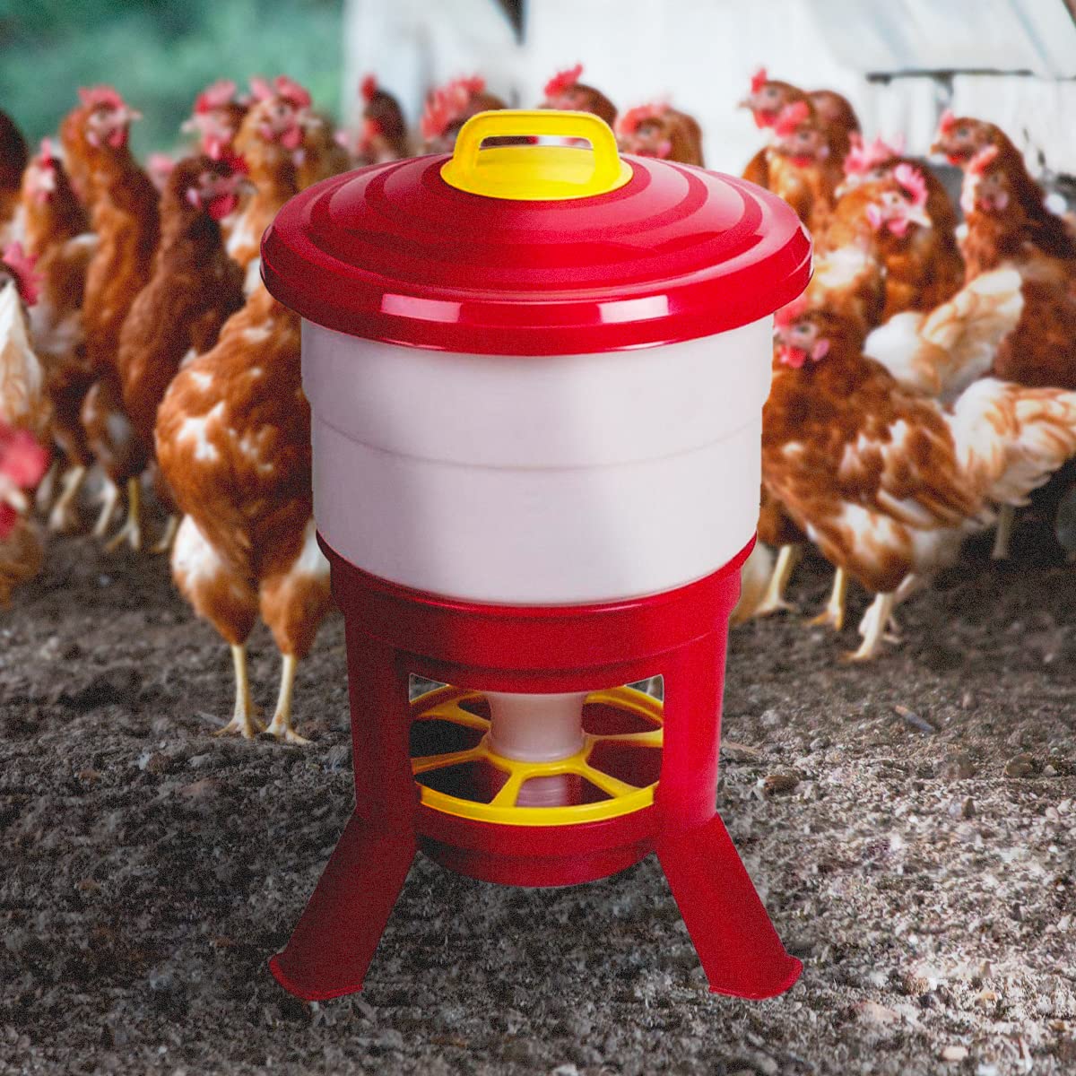 Comedero Para Gallinas Imperial Gaun - 40 Litros - Image 5