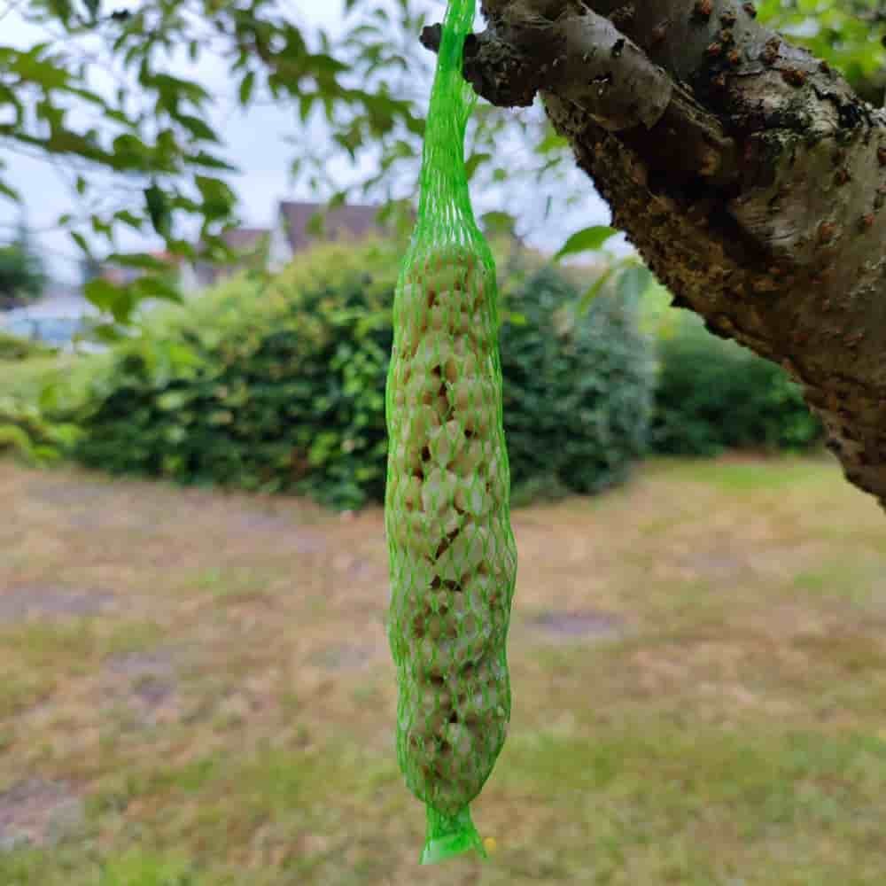 Comida Para Pájaros Silvestres - Barras De Cacahuete, 2 Unidades