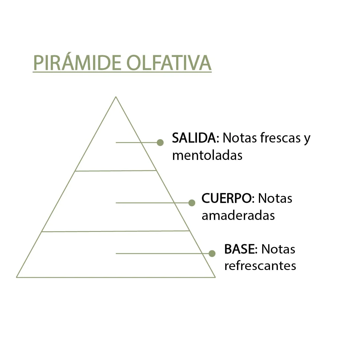 Esencia Natural Eucalipto 12 Ml Sys Aromas | Aroma Fresco Balsámico | Difusores Y Aromaterapia - Image 4