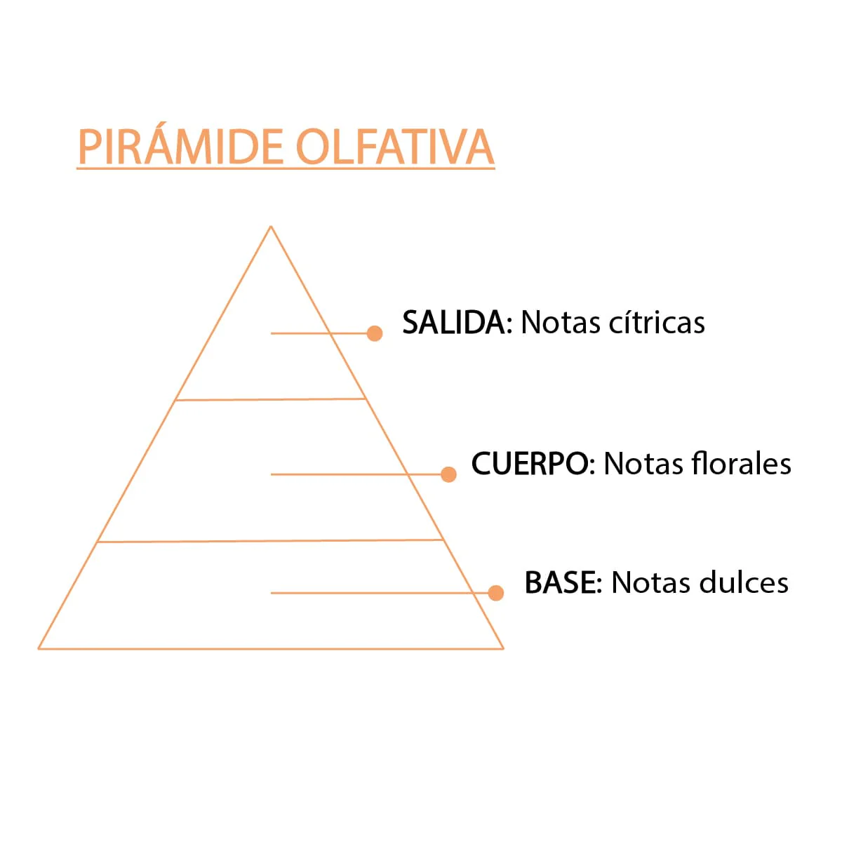 Esencia Natural Naranja 12 ml SYS Aromas | Aroma Cítrico Energizante | Difusores y Aromaterapia - Image 4