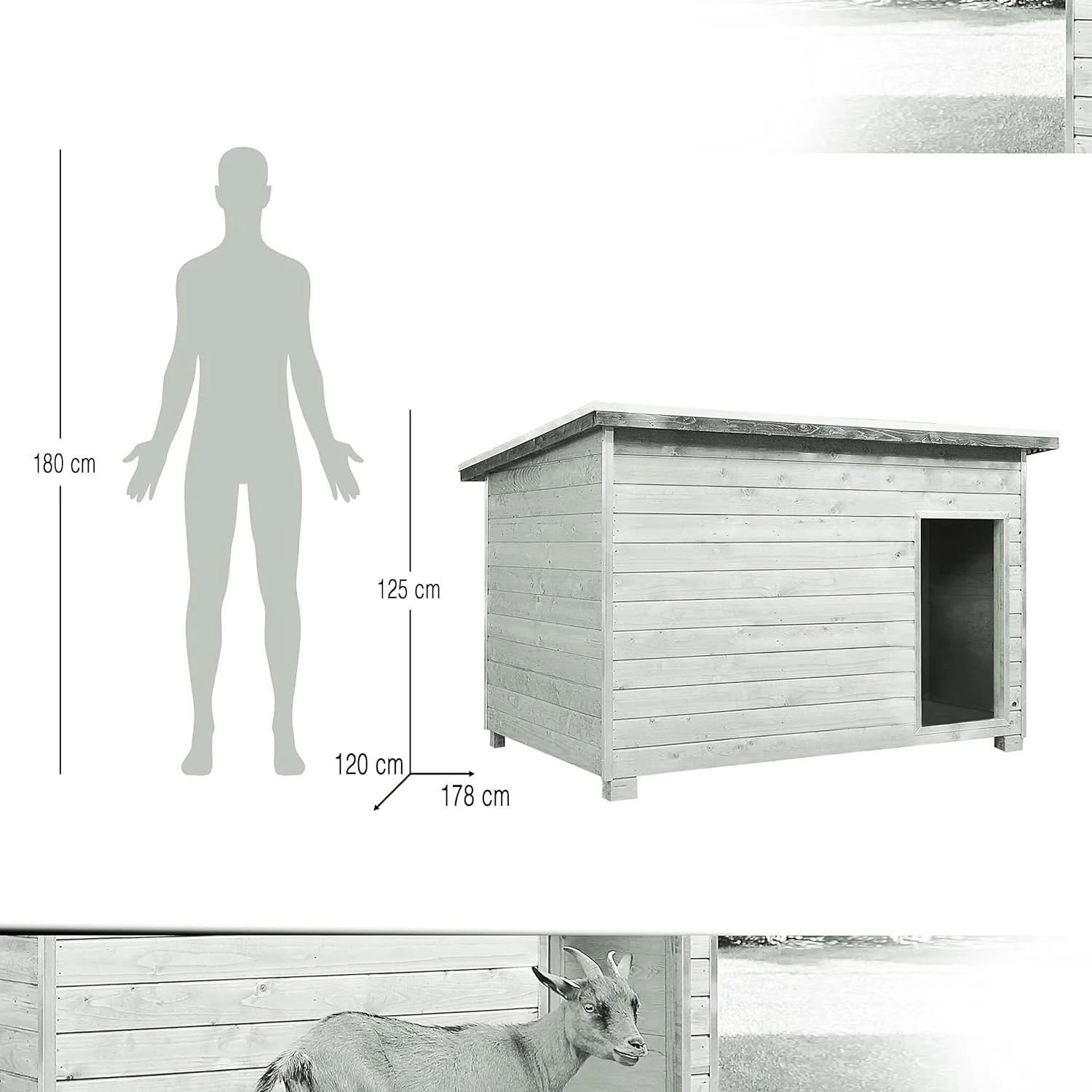 Gallinero Para Pavos Y Otras Grandes Aves - Caseta Para Animales - Refugio Para Cabras Y Ovejas - Image 3