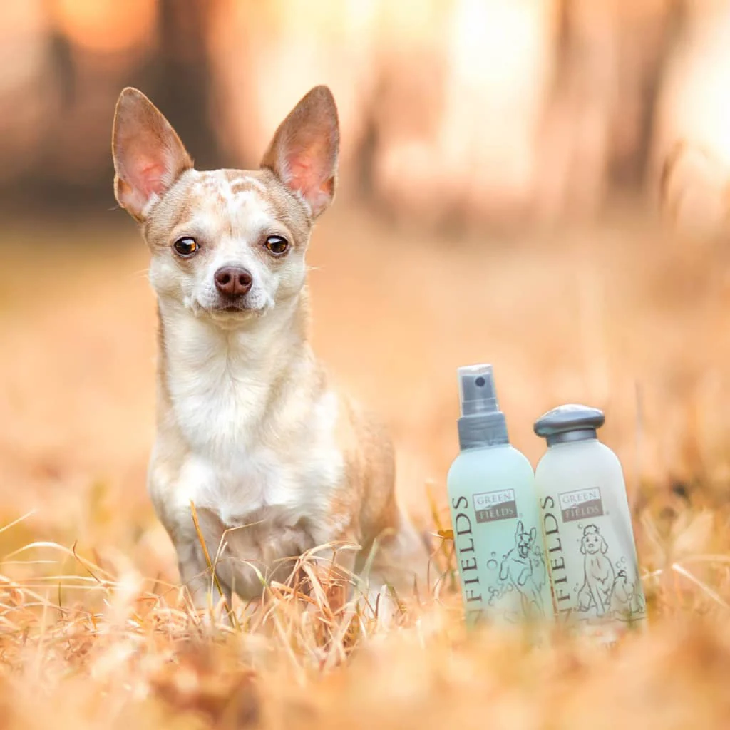 Greenfields Lote De Champú Y Espray Para Perros Completo 2x250 Ml - Image 2