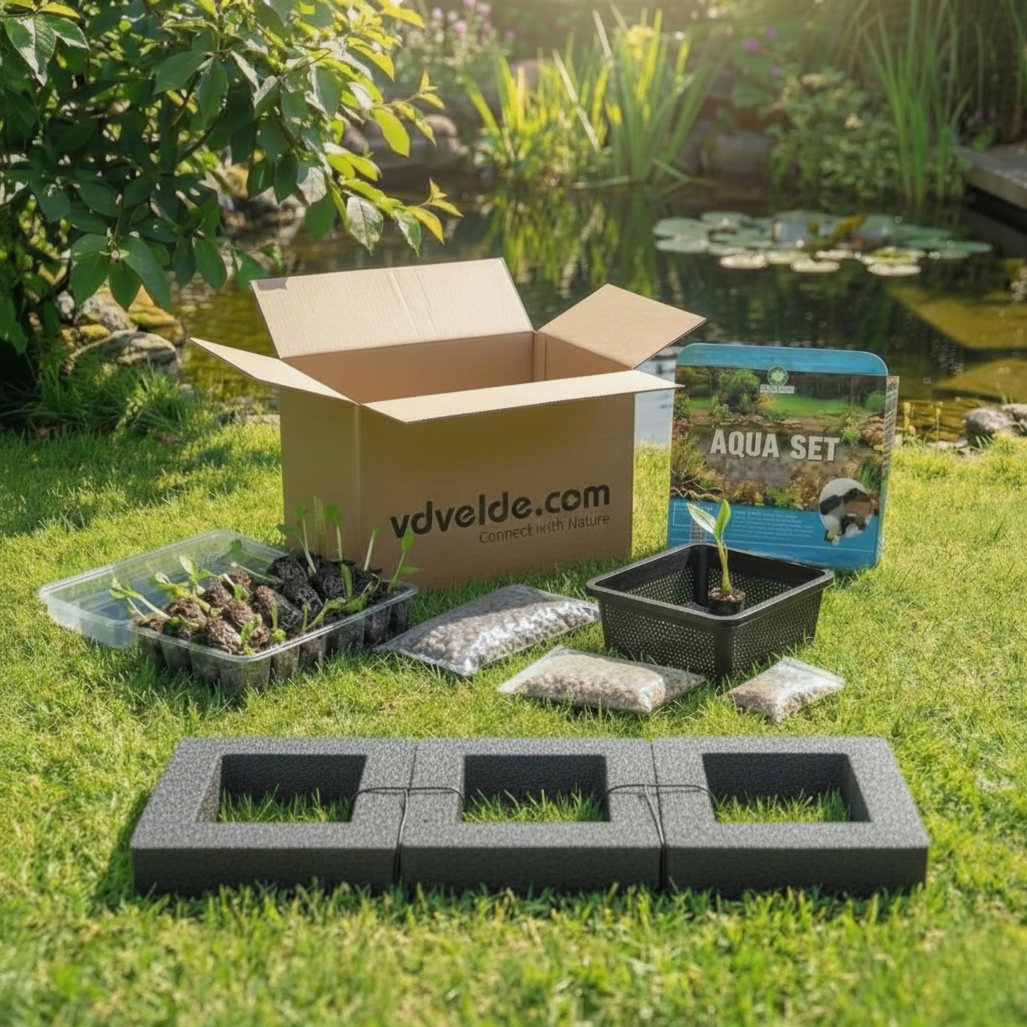 Isla De Plantas Estanque - 4 Variedades De Plantas - 25x25 Cm - Image 4