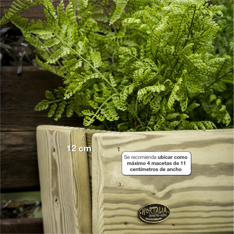 Jardinera Vertical Madera Tratada Exterior Stand Line Wall KD 4B Hortalia - Image 5