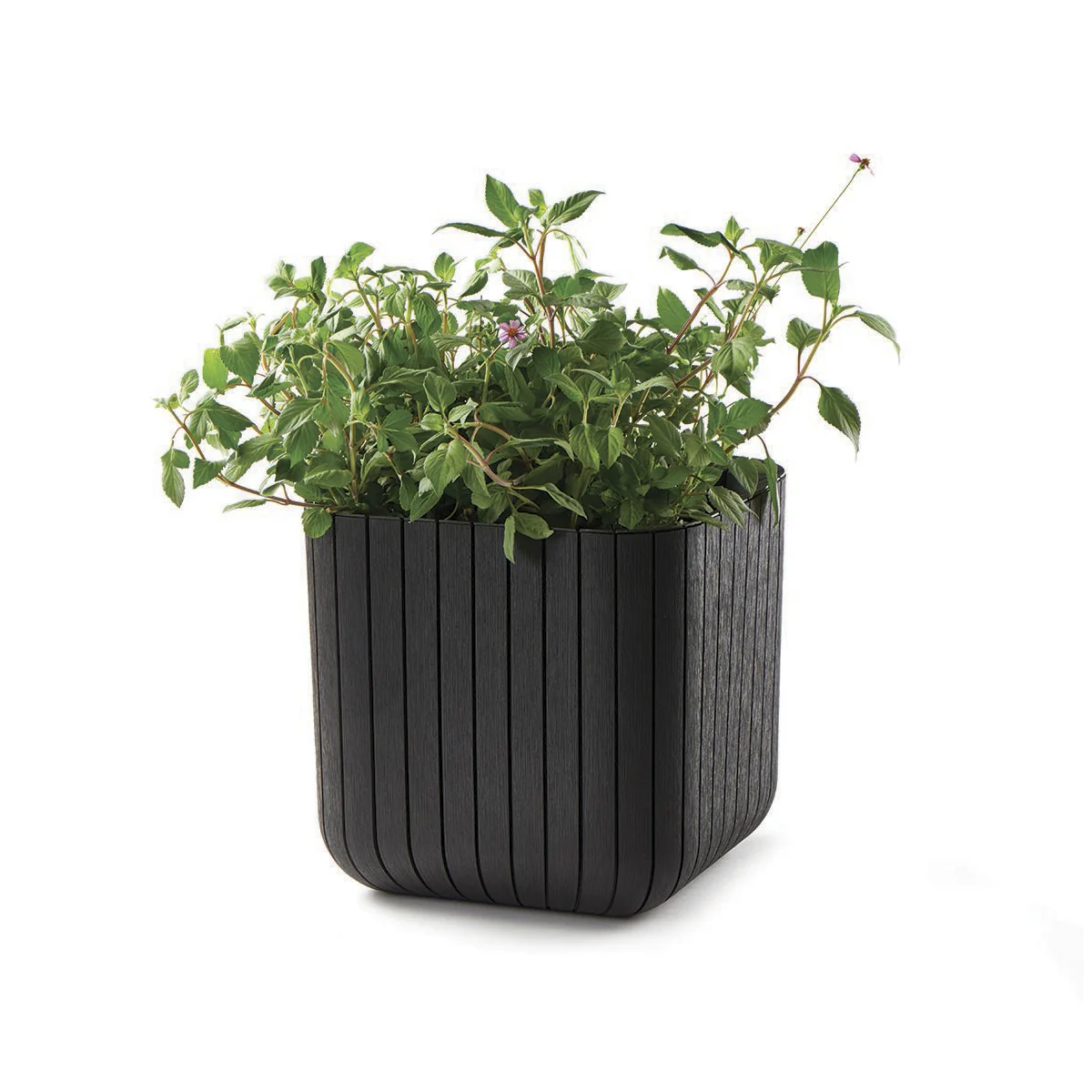 Keter Set 2x Macetero Polyal Wood Planter 29,5x29,5x29,7 Cm 21,5l Marrón - Image 2