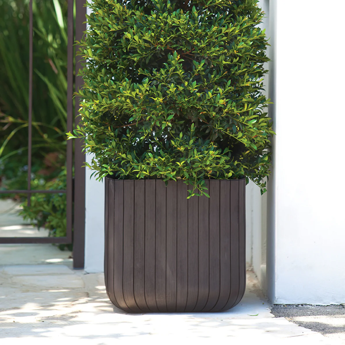 Keter Set 2x Macetero Polyal Wood Planter 29,5x29,5x29,7 Cm 21,5l Marrón - Image 3