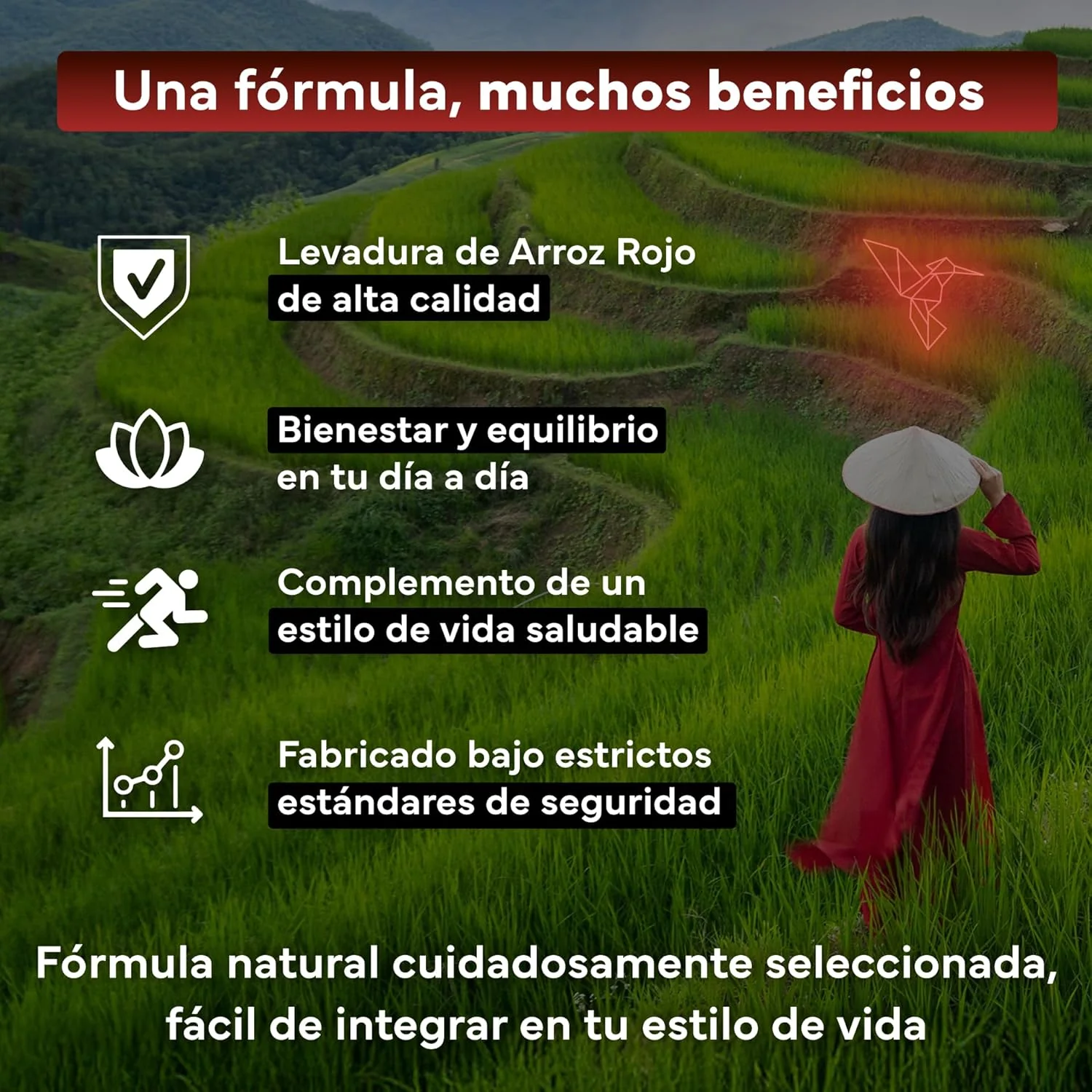 Levadura de Arroz Rojo con Monacolina K y CoQ10 Sevens Nutrition 400 cápsulas - Image 3