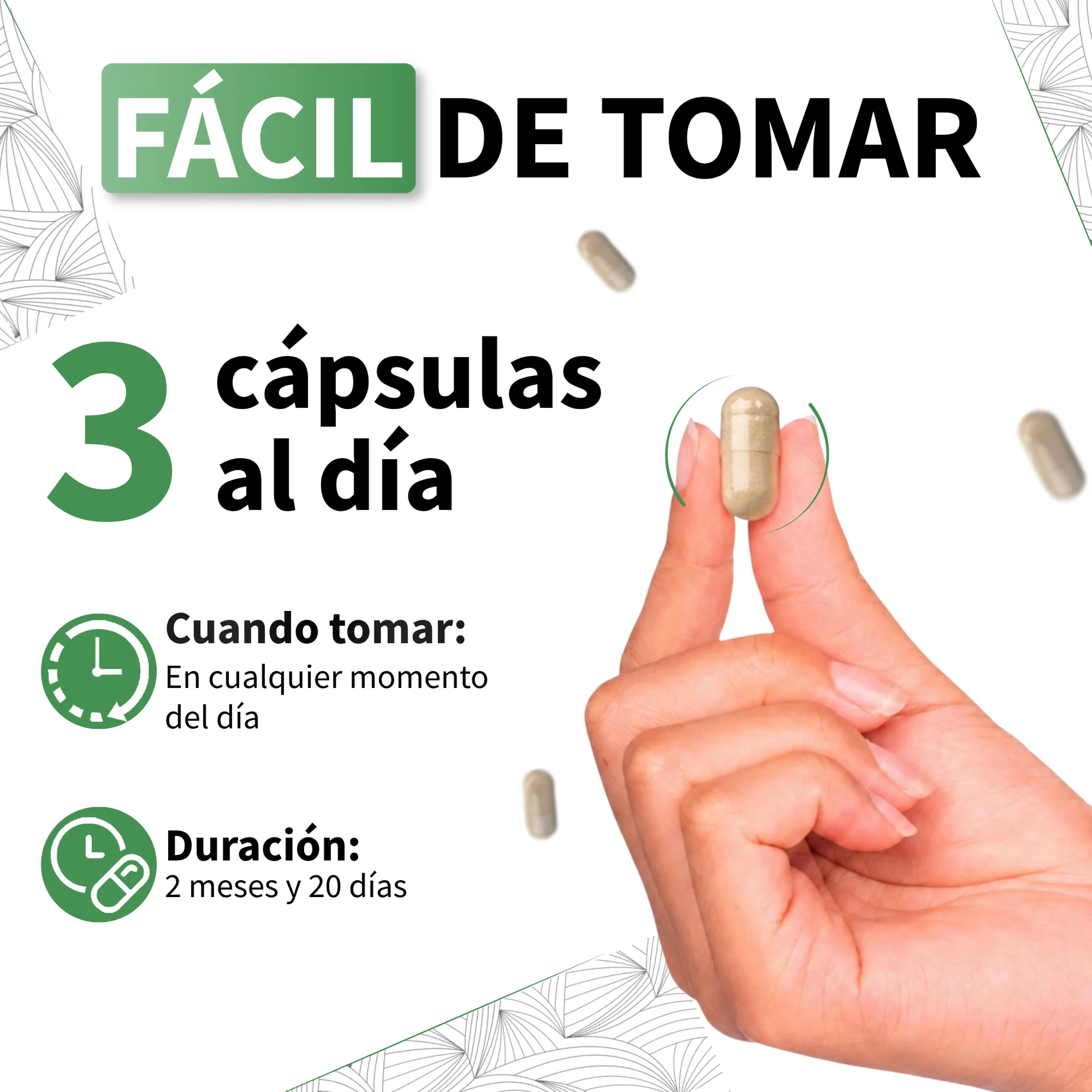 Maca Negra Ecológica 2250 Mg Vecos 240 Cápsulas | Energía, Resistencia Y Vitalidad Sexual | Raíz Andina 100% Ecológica - Image 4