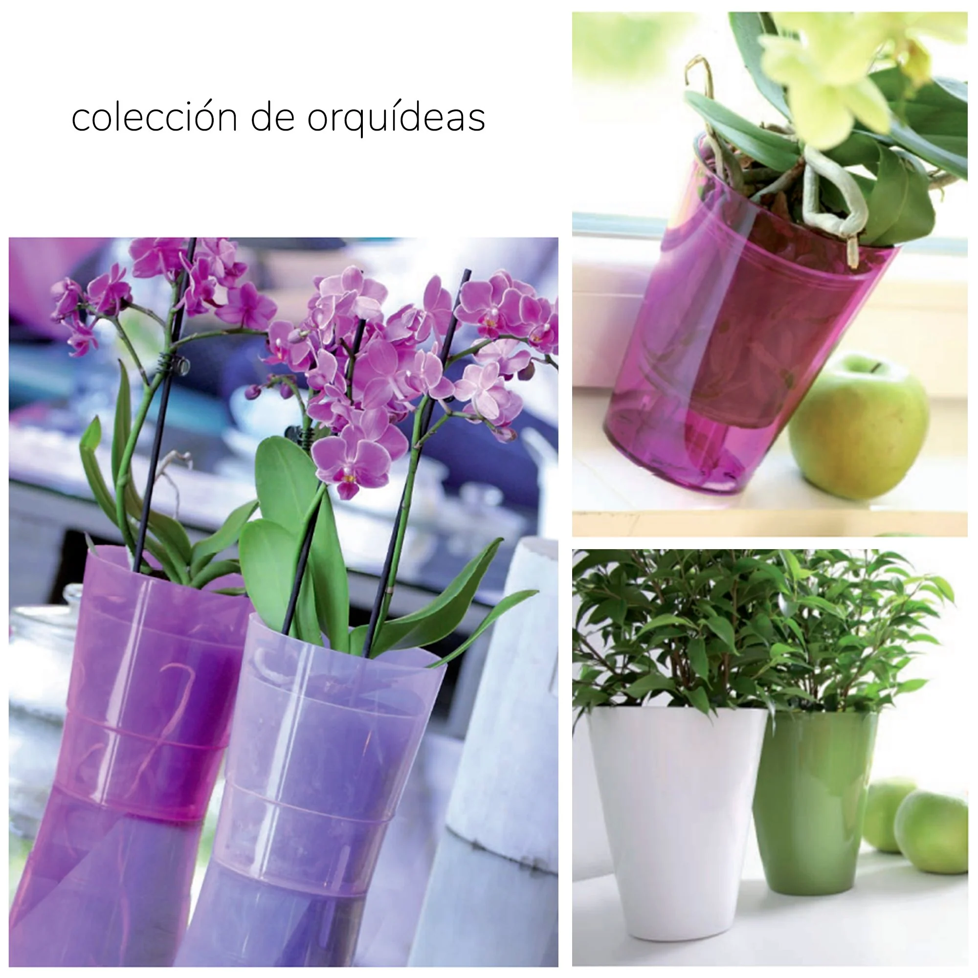 Maceta Coubi Orchid 1,1l., Dimensiones (mm) 125x125x147, Color Verde Transparente - Image 2