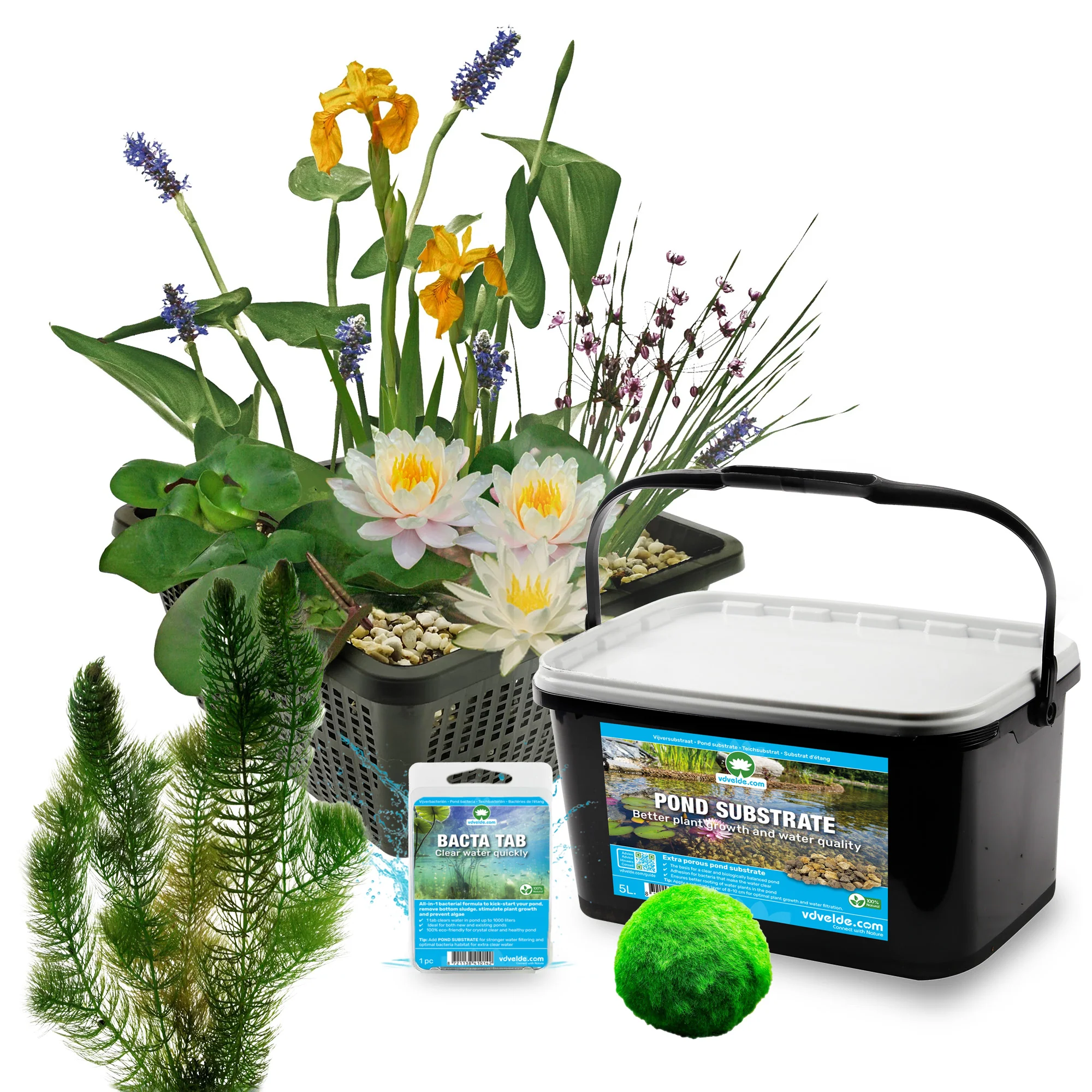 Mini Estanque Set Completo Blanco 25-90l - 11 Plantas Y Bacterias - Image 3