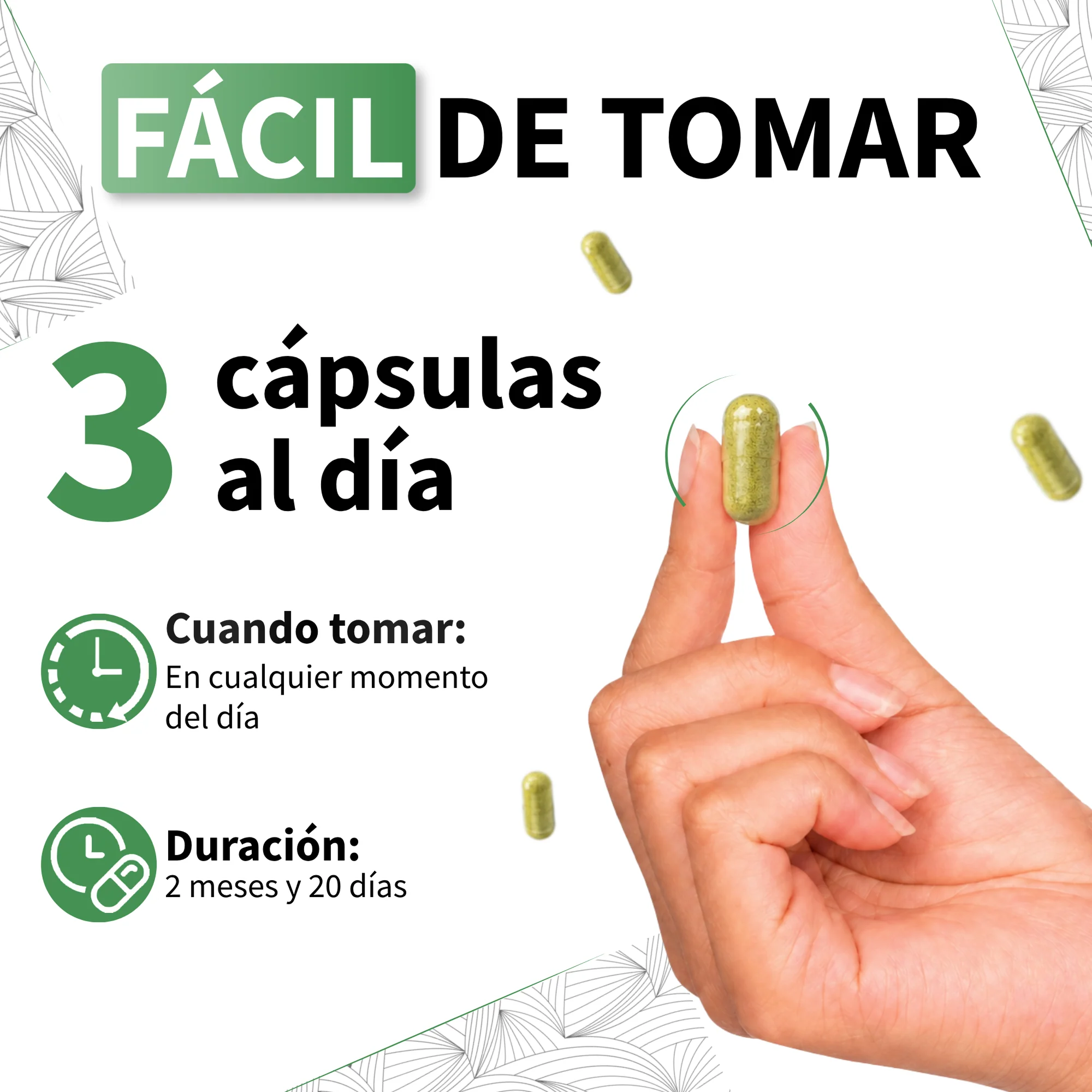 Moringa Ecológica 1650 Mg Vecos 240 Cápsulas | Energía, Defensas Y Antioxidante | Superalimento 100% Hoja - Image 4