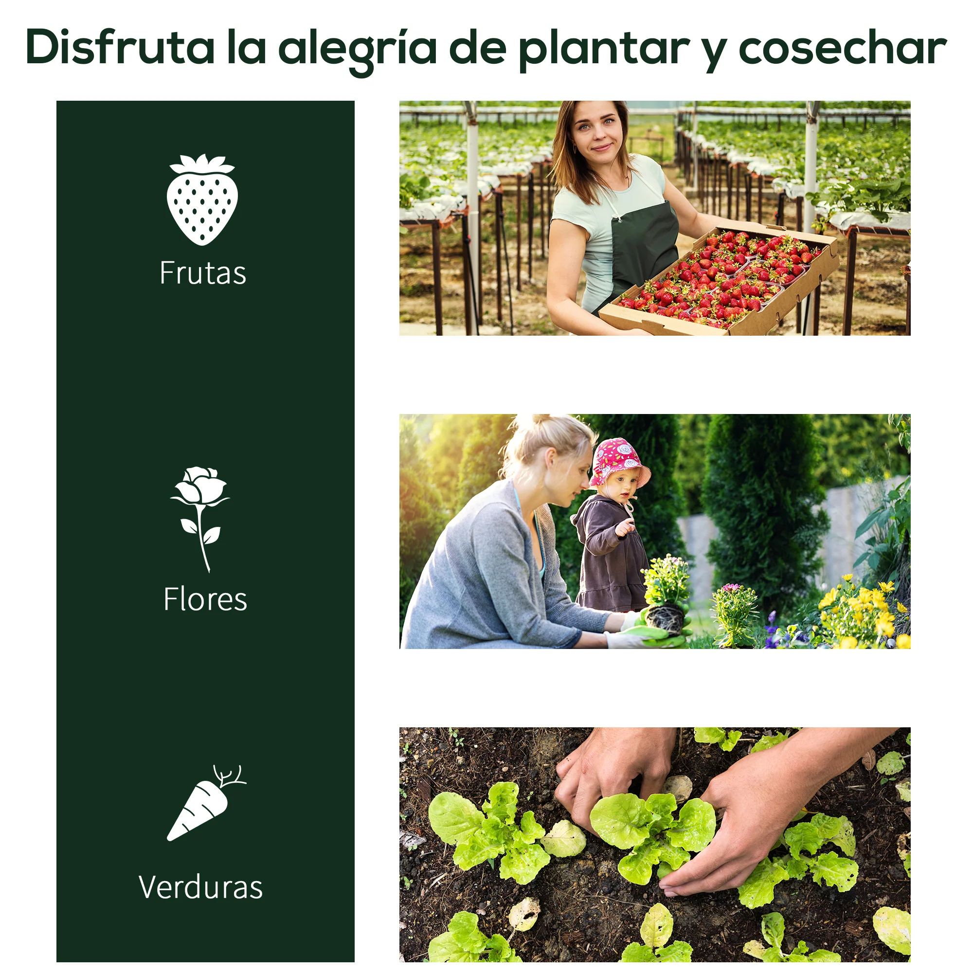 Outsunny Invernadero Caseta 200x100x80 Cm Para Jardín Terraza Cultivo De Plantas - Image 6