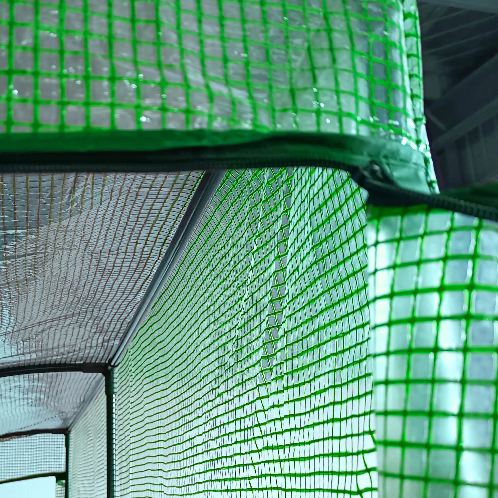Outsunny Invernadero Pequeño Con Estantes De 3 Niveles 200x100x215 Cm Verde - Image 4