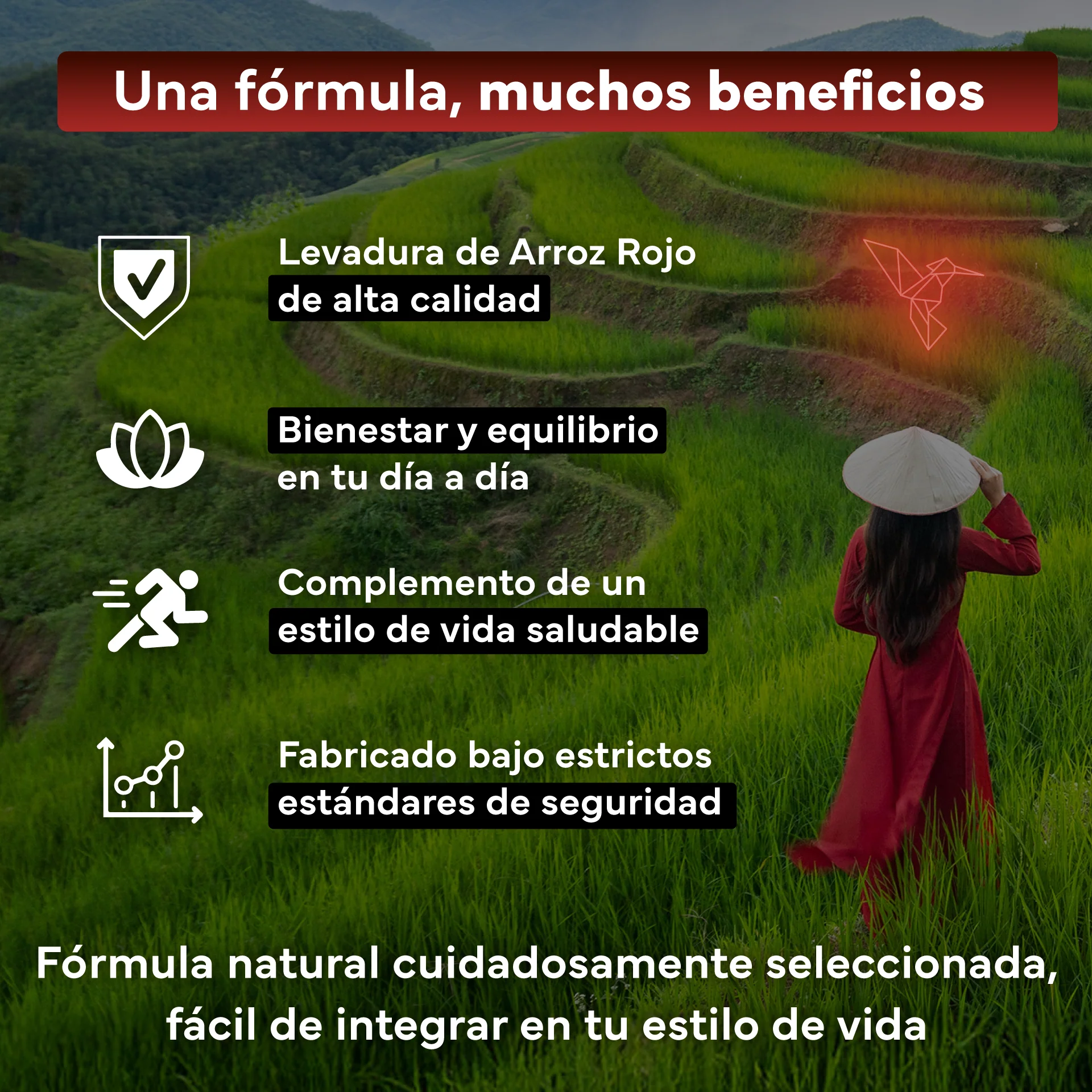 Pack 2x Levadura Arroz Rojo Sevens Nutrition. Con Monacolina K Y Coenzima Q10 - Image 3