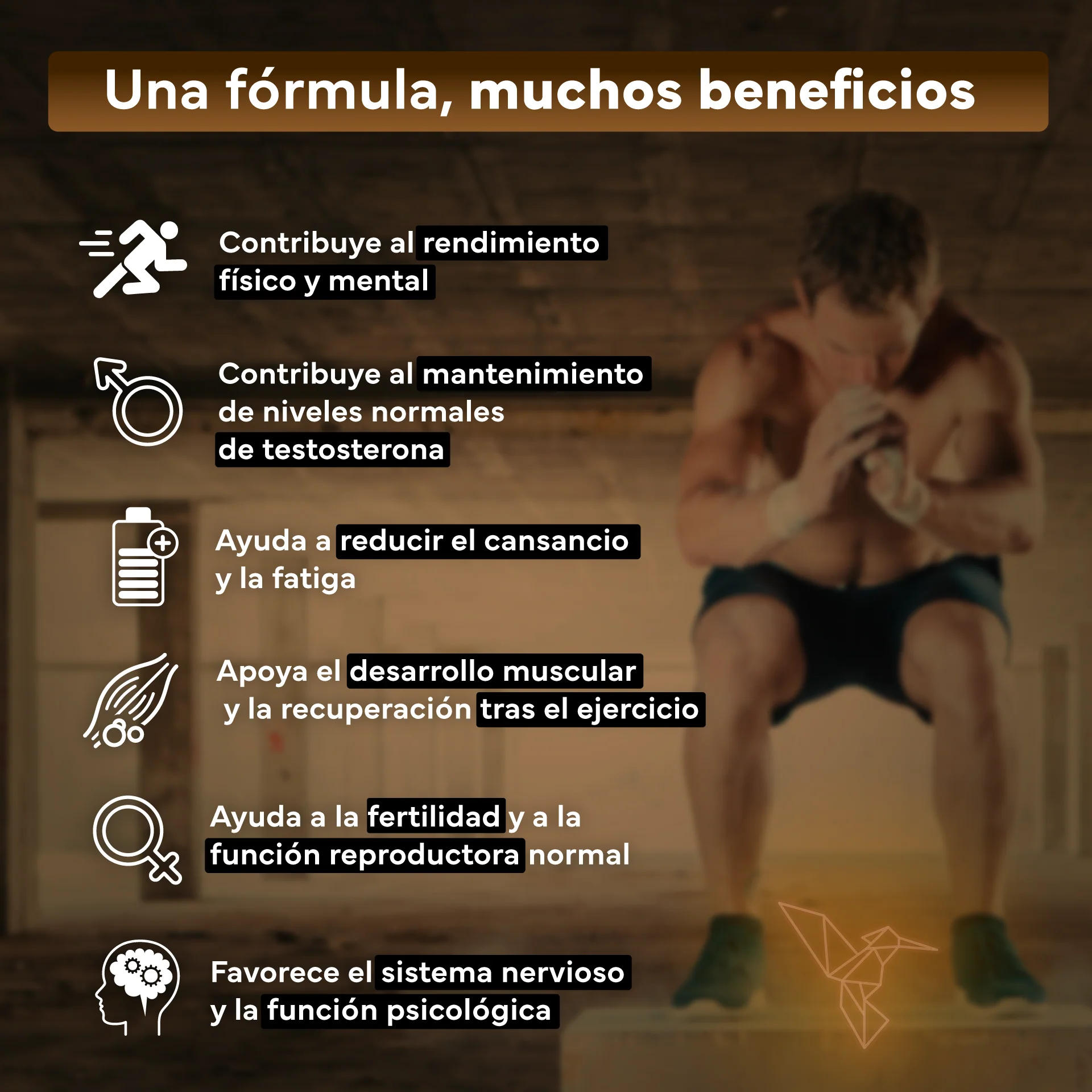 Pack 2x Maca Negra Con L-arginina Y Zinc + Vitaminas B6, B12 Y C. Reduce El Cansancio Y Aumenta Energía - Image 3
