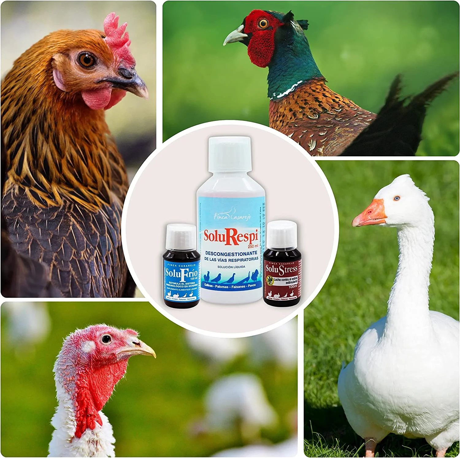 Pack 3 productos para resfriado en aves: Solurespi + Solufrío + Solustress - Alivio catarro gallinas (ref. Slpck4) - Image 5