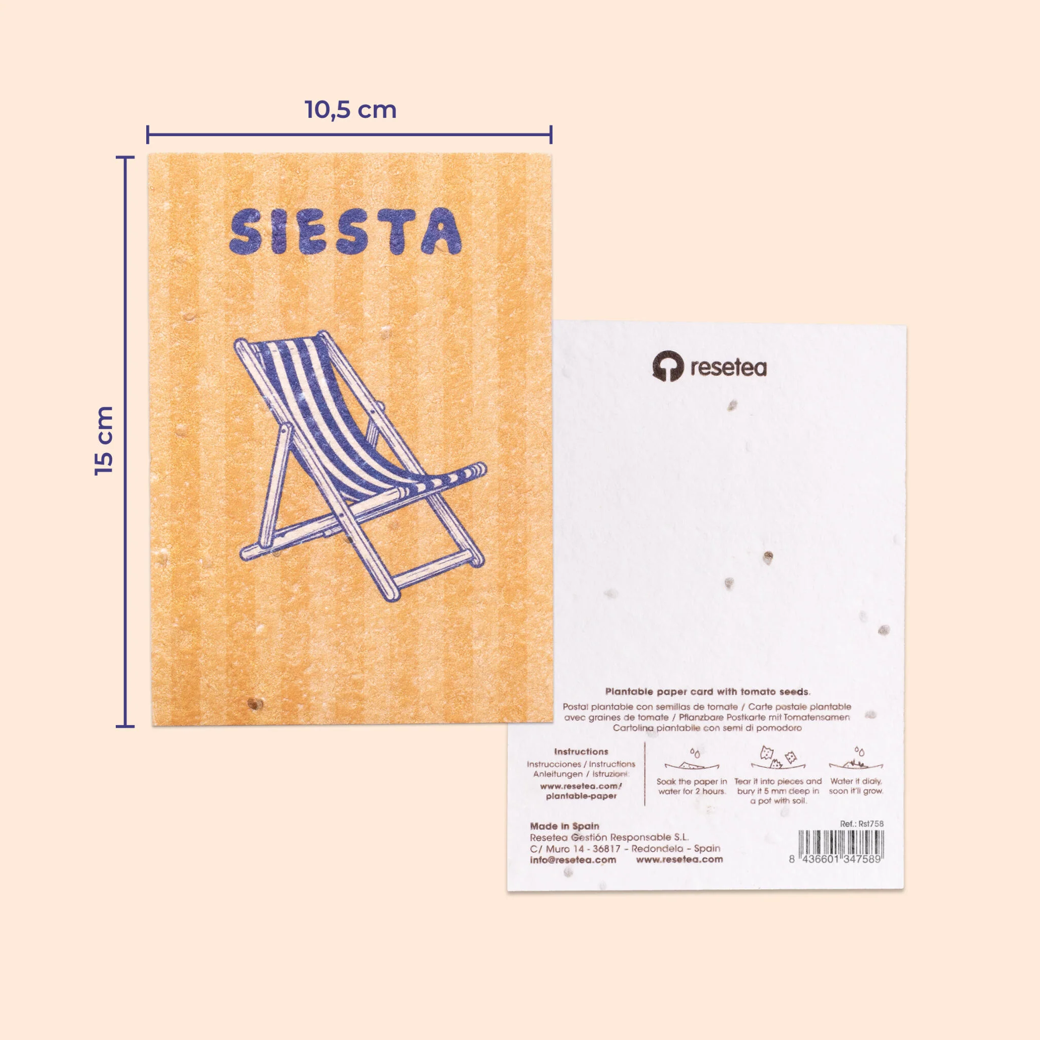 Pack De 3 Postales Plantables – Summer Break Collection - Image 4