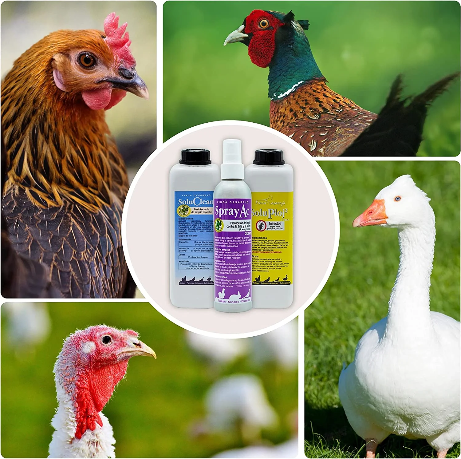 Pack De Productos Limpieza Y Desinfección Del Gallinero - Previene Piojos Y Ácaros - 1 L Por Producto - Image 5
