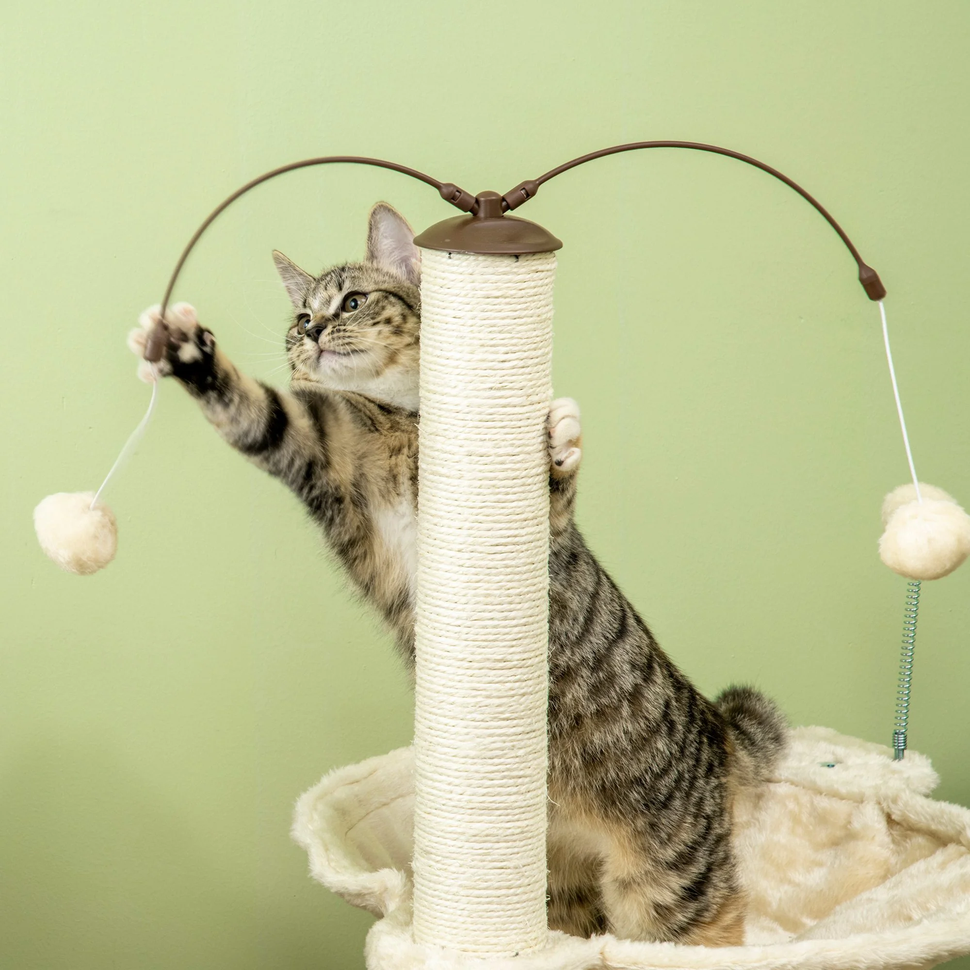 Pawhut Árbol Rascador Para Gatos Altura 90 Cm Con Hamaca Postes De Sisal Y Bolas - Image 4