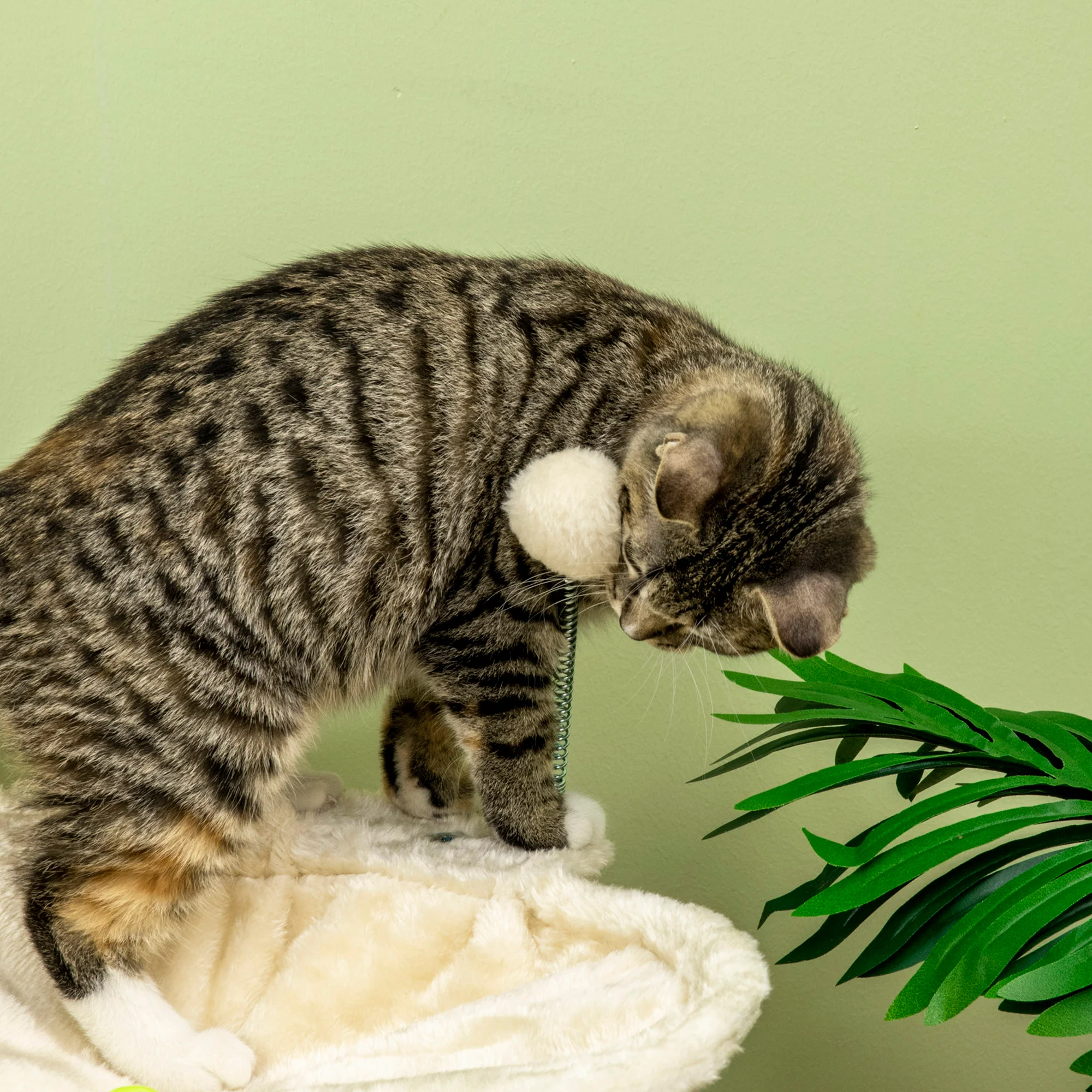 Pawhut Árbol Rascador Para Gatos Altura 90 Cm Con Hamaca Postes De Sisal Y Bolas - Image 5