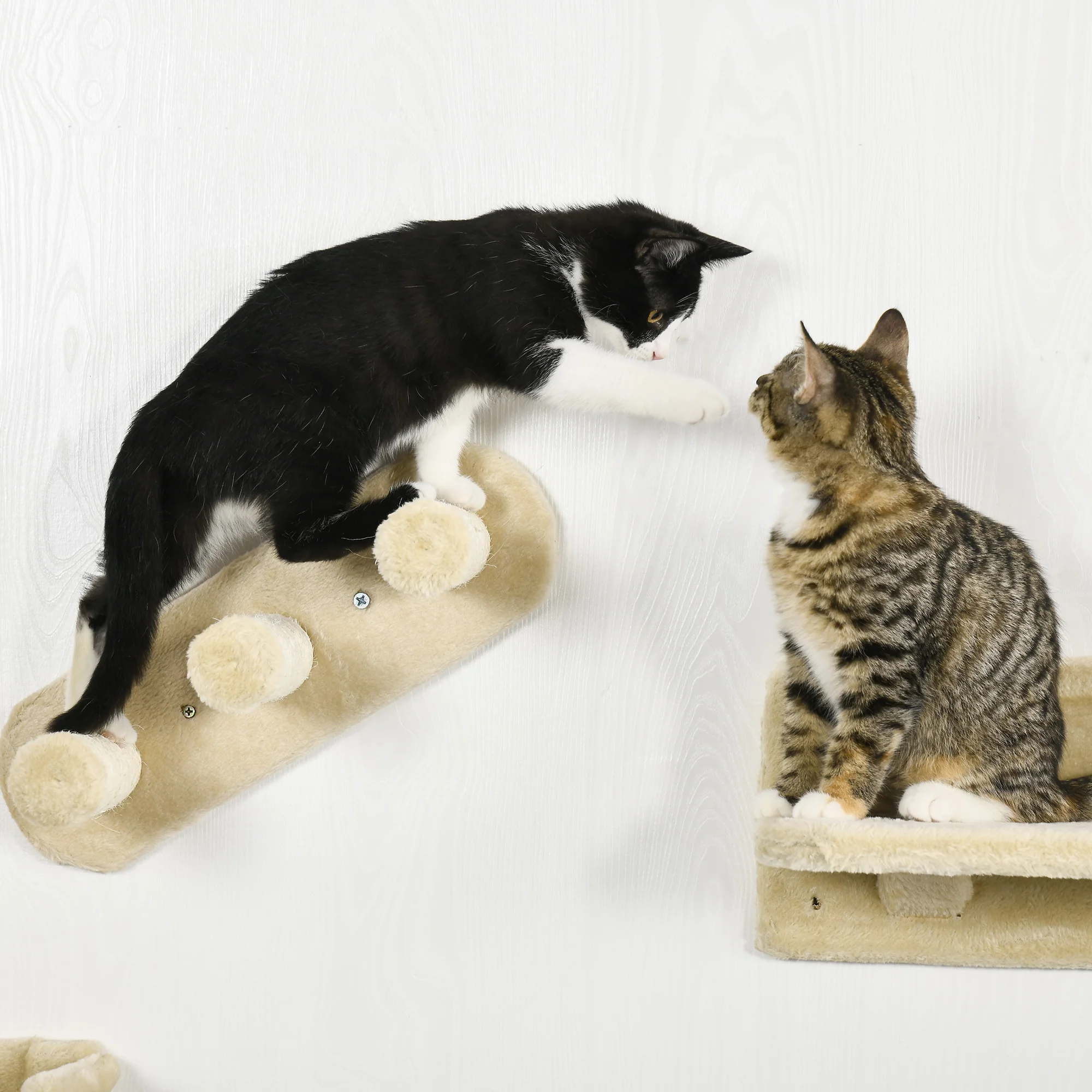 Pawhut Estante De Escalada Para Gatos De Pared Con Hamaca Nido Plataformas Beige - Image 5