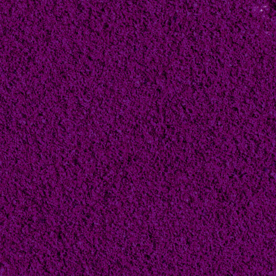 Polvo De Grosella Negra 100% Liofilizada Ecológica - 100g - Image 2