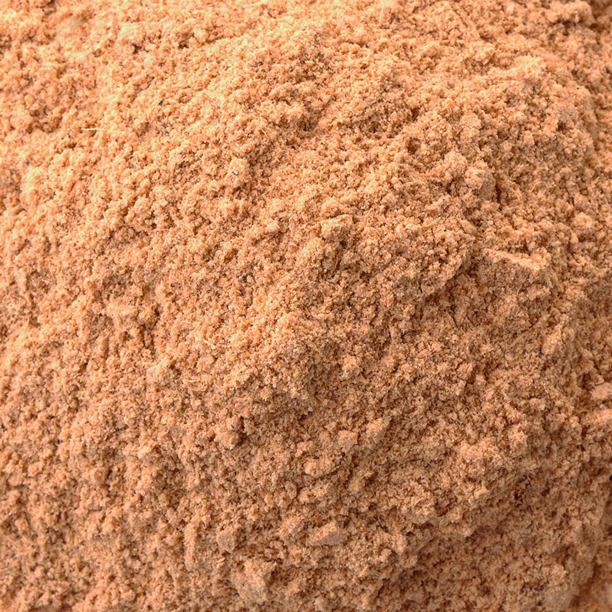 Polvo De Hongo Shiitake Ecológico 100g - Image 3