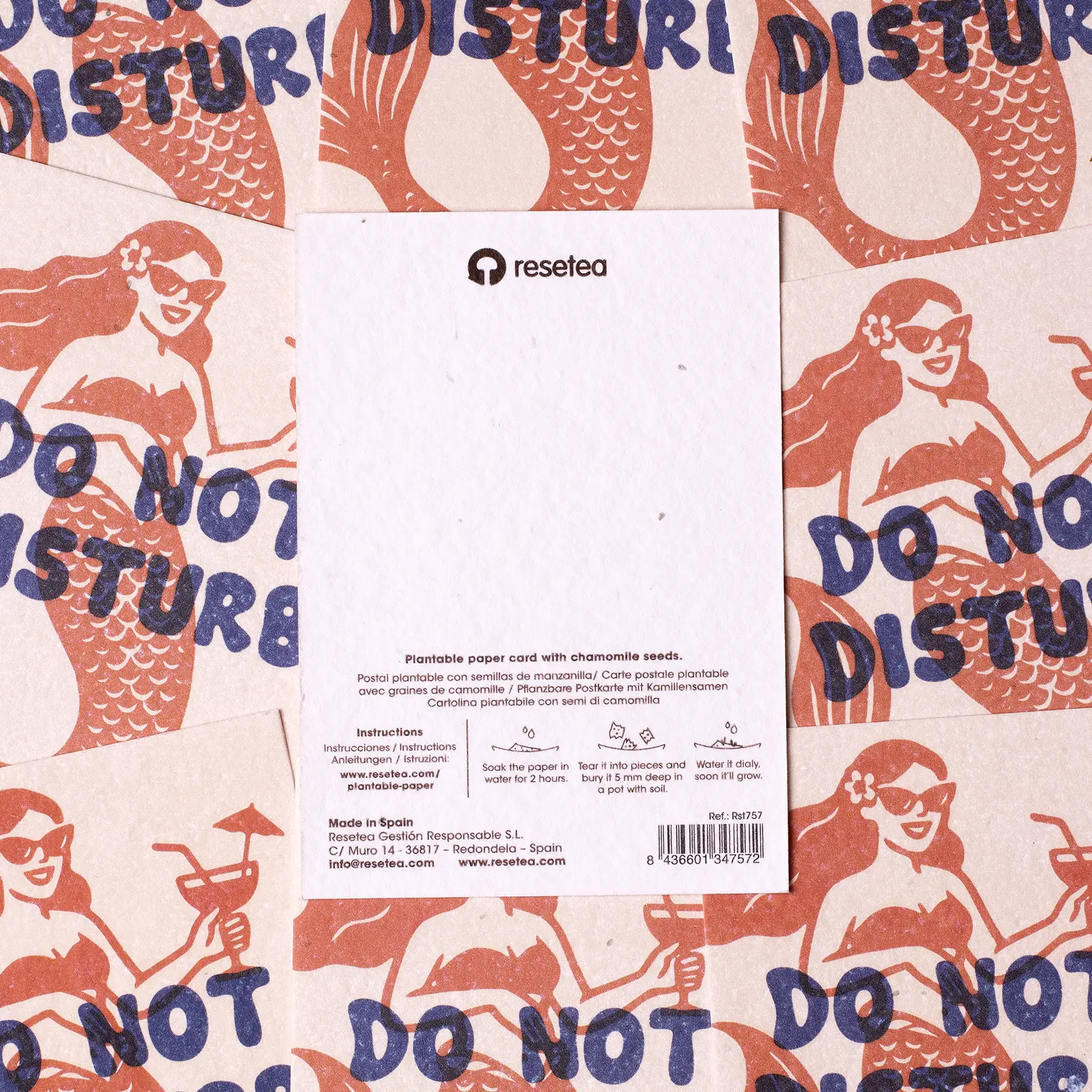 Postal Plantable - Do Not Disturb - Image 4