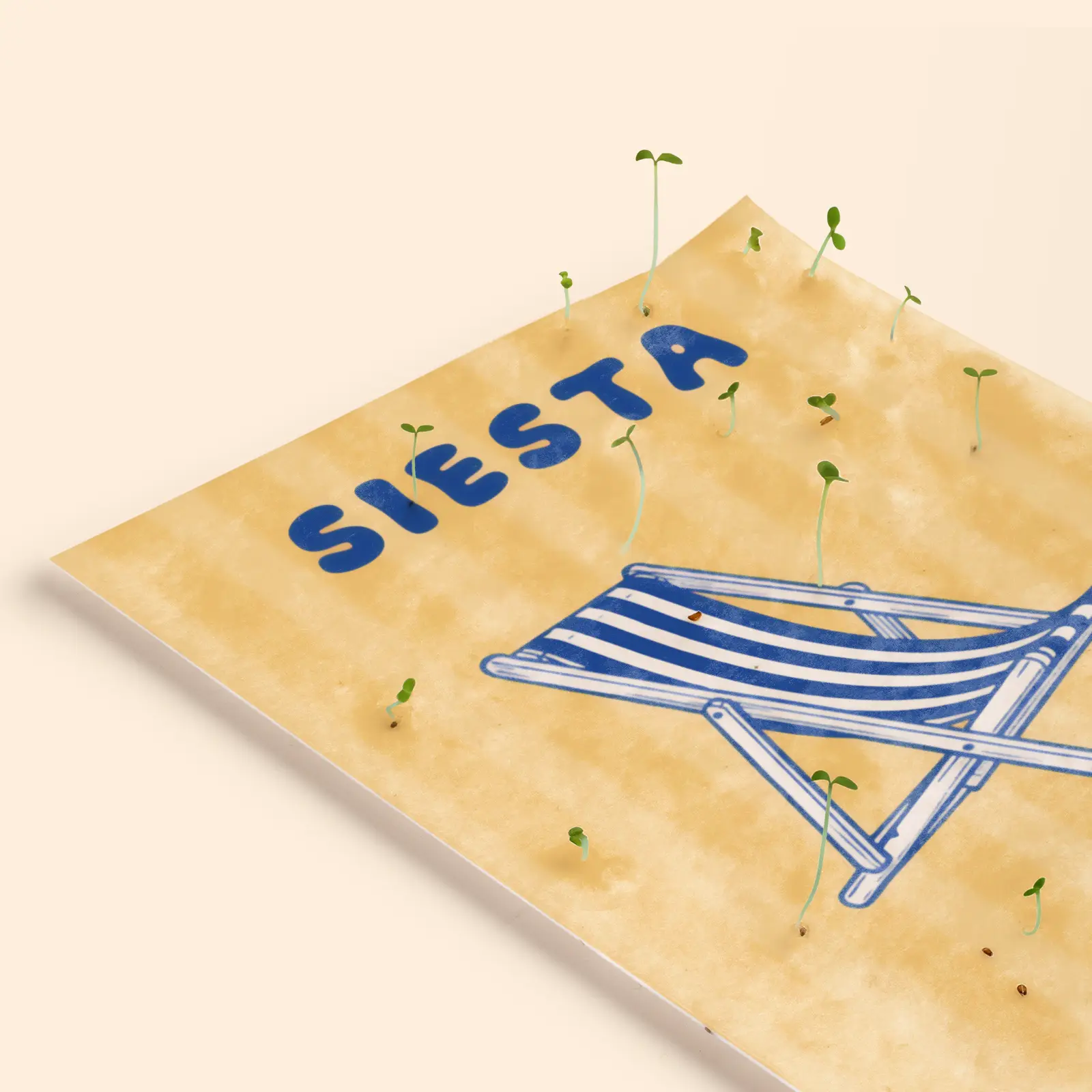 Postal Plantable - Siesta - Image 3