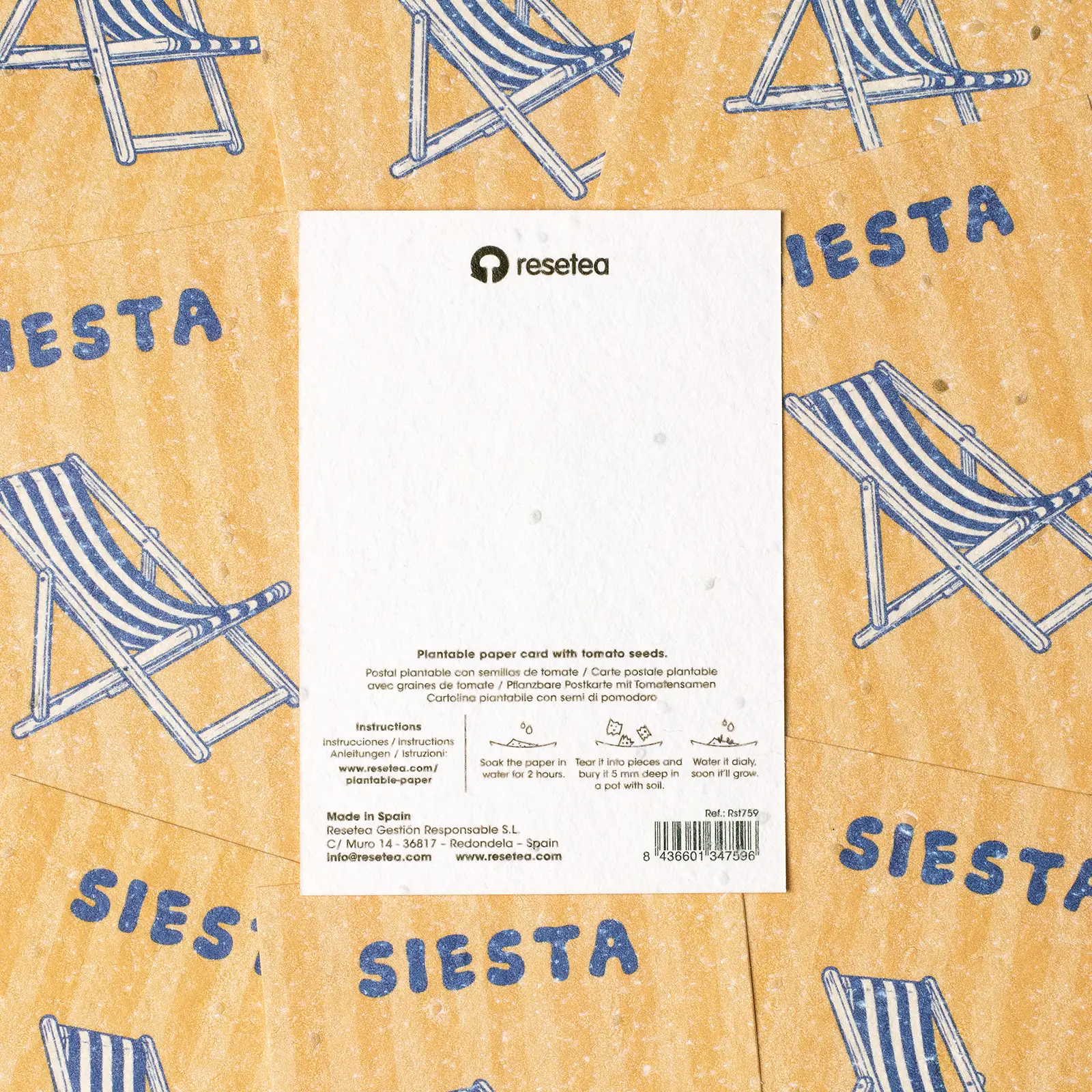 Postal Plantable - Siesta - Image 4