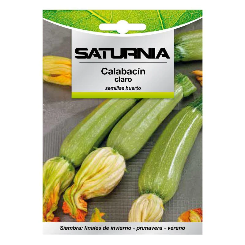 Semillas Calabacin Verde Oscuro (5 Gramos) Semillas Verduras, Horticultura, Horticola, Semillas Huerto.