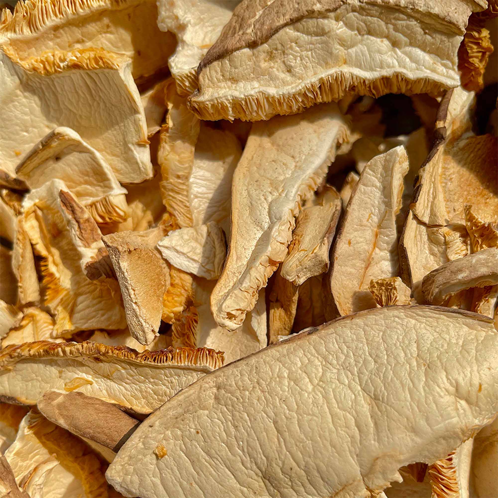 Setas Shiitake En Laminas Bio 20g - Image 2