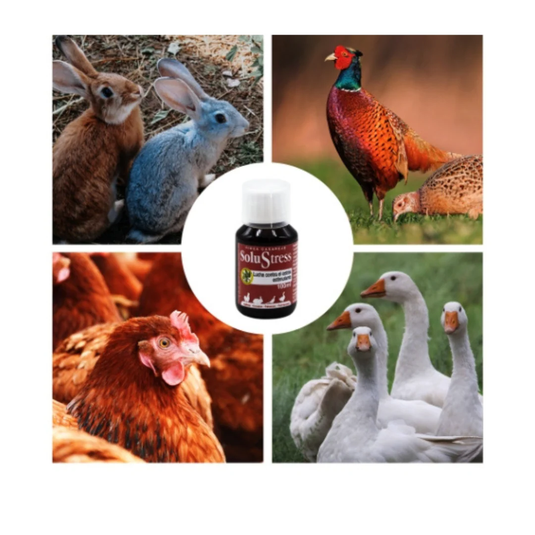SoluStress - Apoyo nutricional a los animales después de viajes y otras situaciones de estrés - Producto 100 % natural - Image 2
