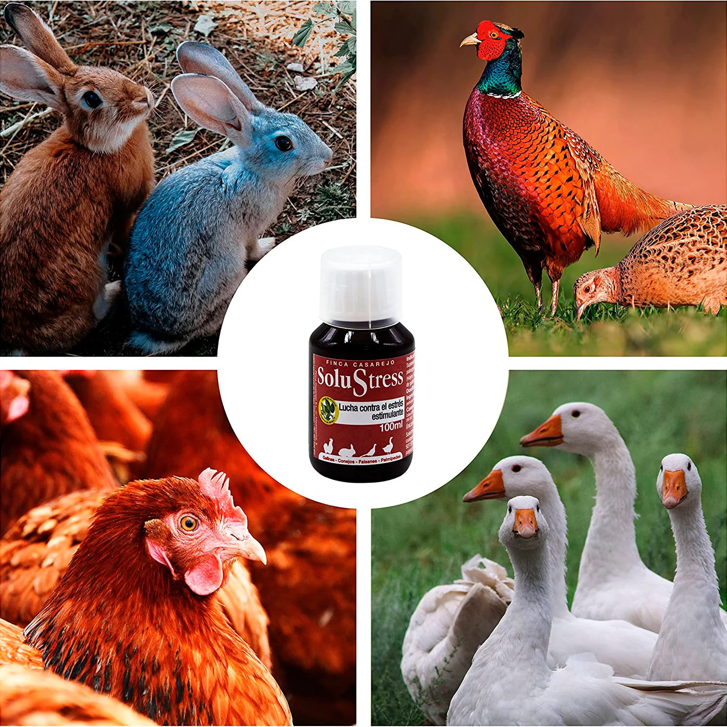SoluStress - Apoyo nutricional a los animales después de viajes y otras situaciones de estrés - Producto 100 % natural - Image 4