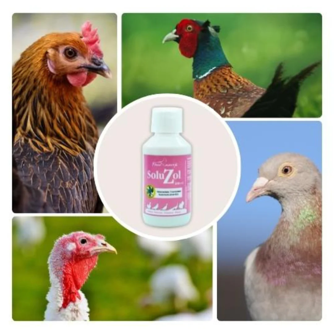 SoluZol 250ml – Complemento nutricional natural para aves – Apoyo digestivo y bienestar intestinal– 100% vegetal - Image 2