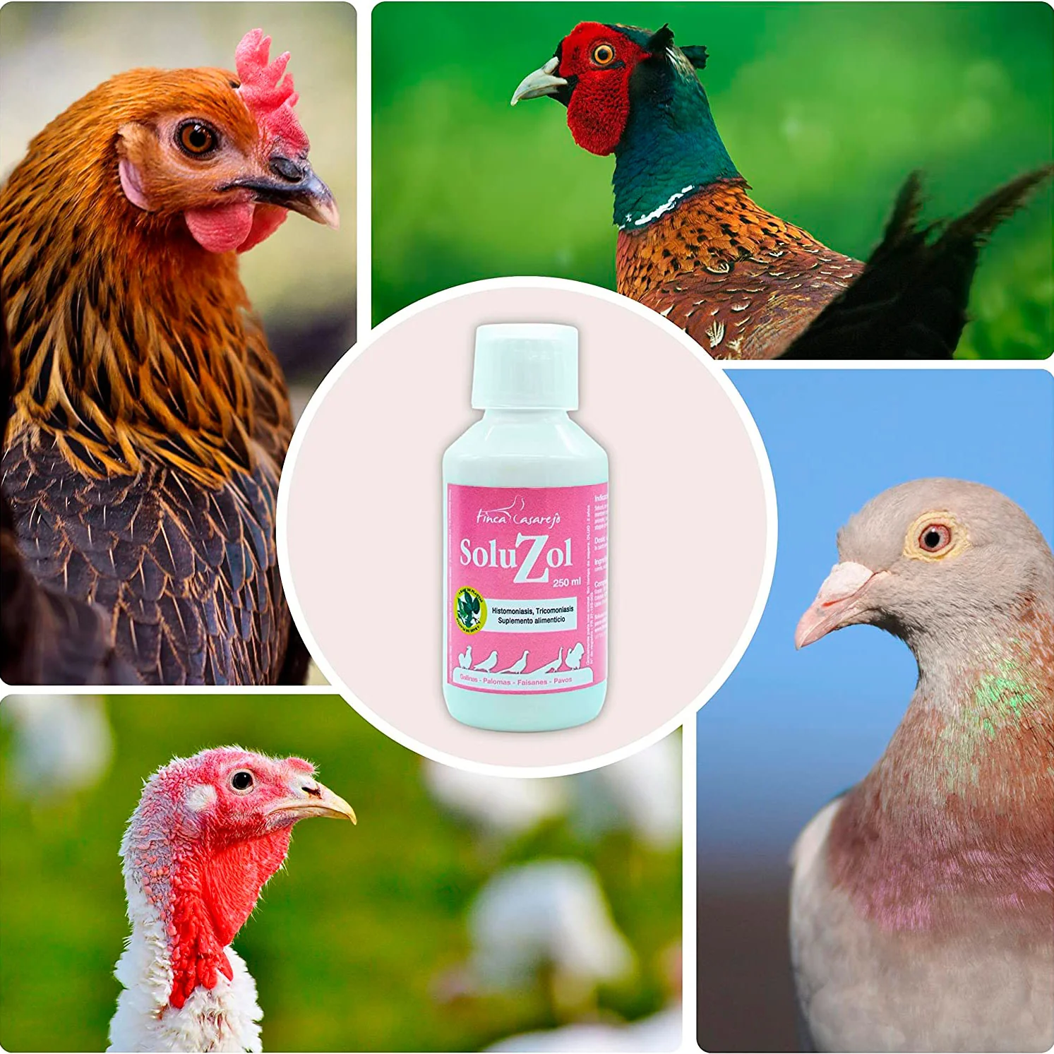 SoluZol 250ml – Complemento nutricional natural para aves – Apoyo digestivo y bienestar intestinal– 100% vegetal - Image 5