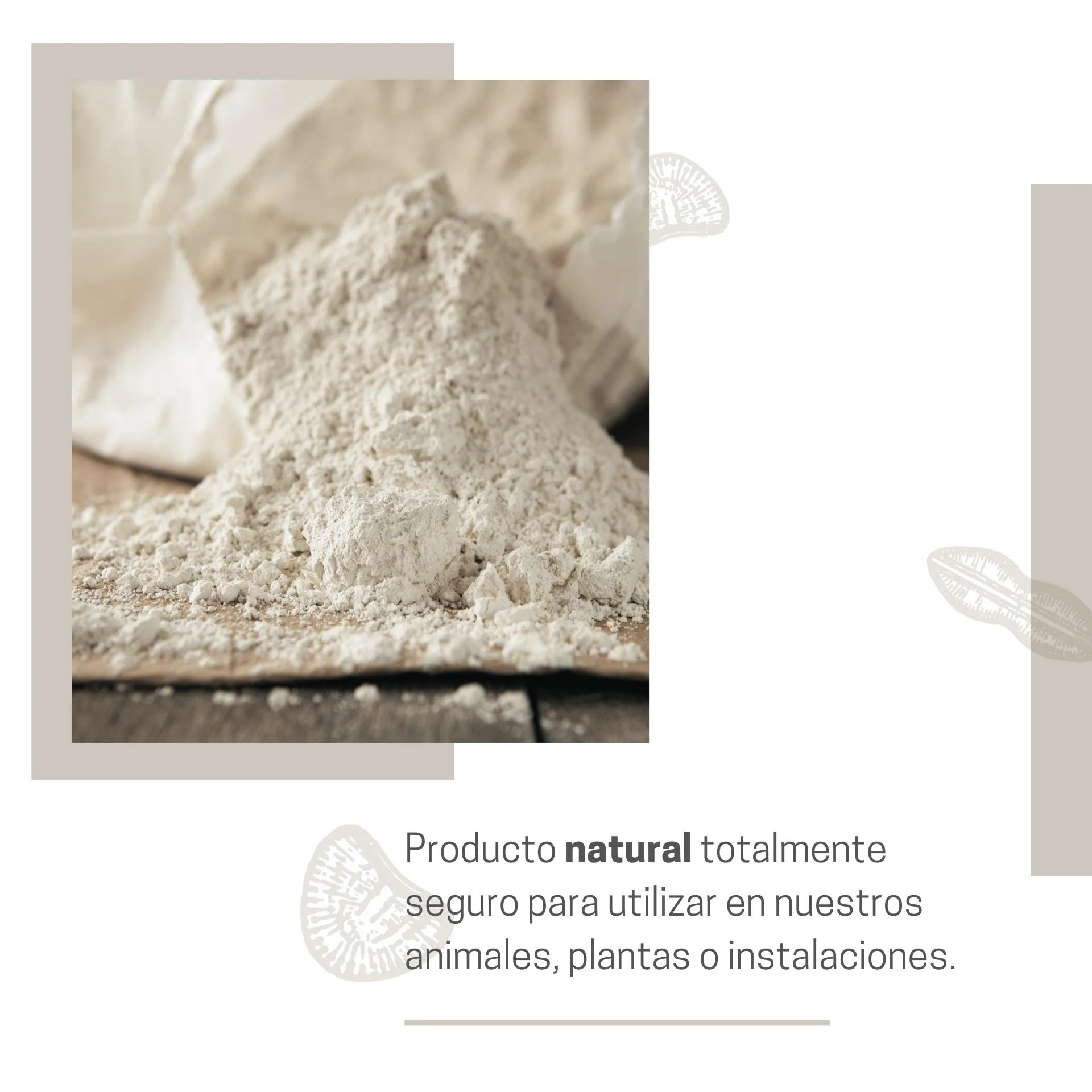 Tierra De Diatomeas Micronizada - 100% Natural Y Ecológica - 225 G - Múltiples Usos - Polvo De Diatomeas En Envase Pulve - Image 3