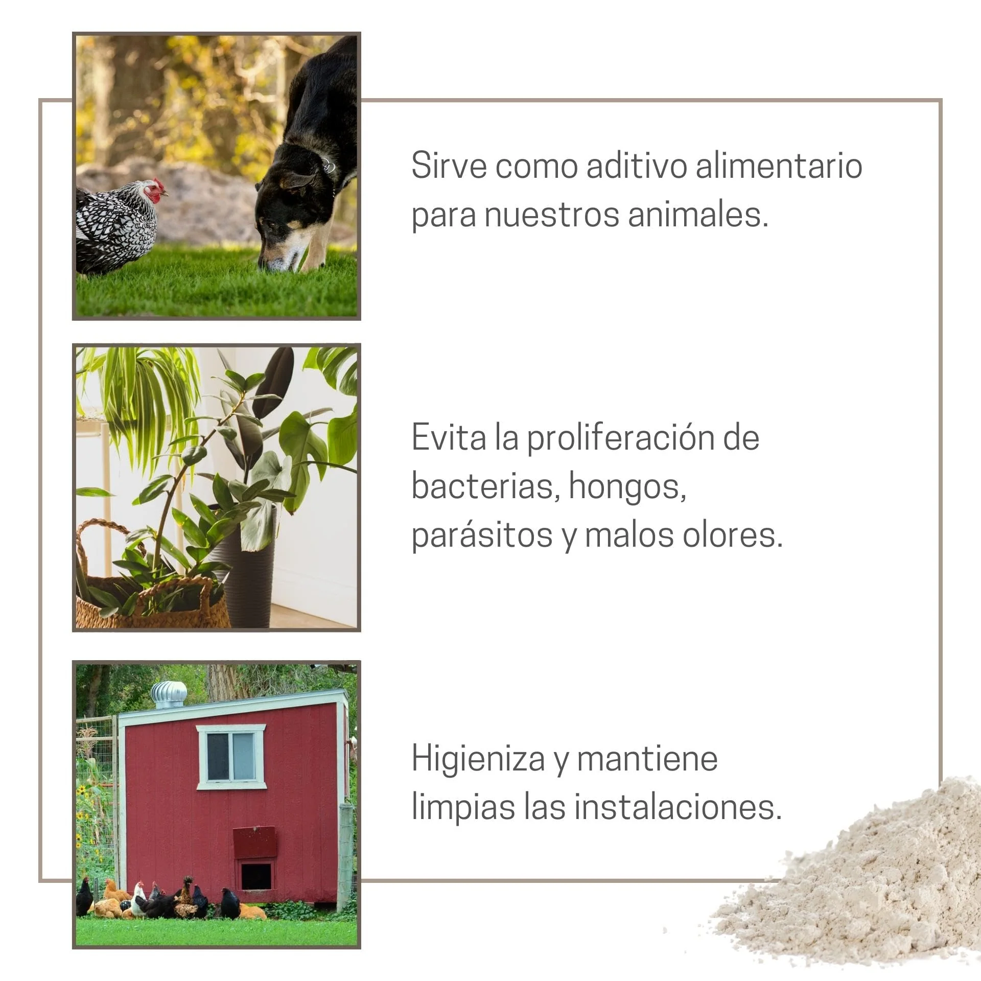 Tierra De Diatomeas Micronizada - 100% Natural Y Ecológica - 225 G - Múltiples Usos - Polvo De Diatomeas En Envase Pulve - Image 4