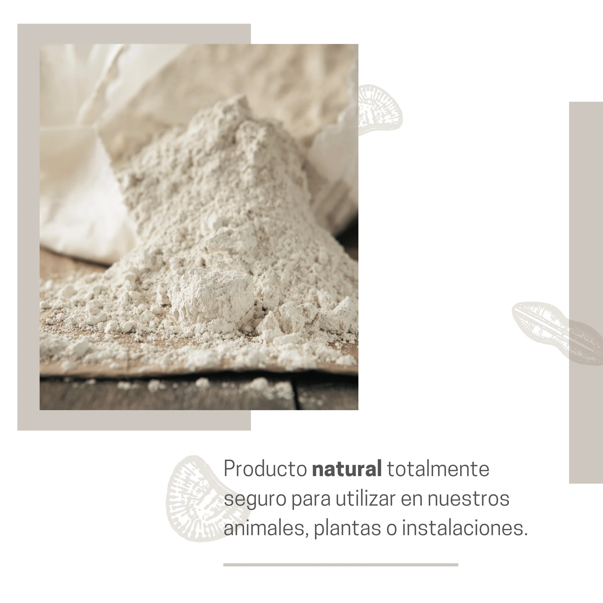 Tierra De Diatomeas Para Ayudar A Mantener El Gallinero Libre De Parásitos - Producto Natural - 750g - Image 3