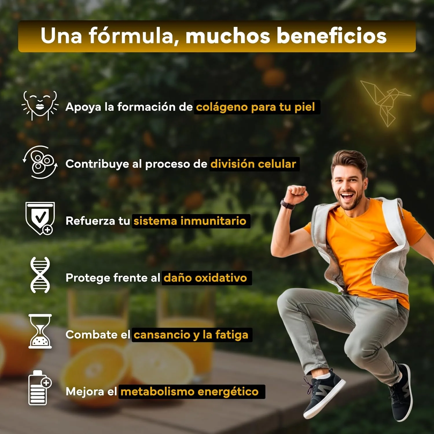 Vitamina C con Zinc Bioflavonoides y Rosa Mosqueta Sevens Nutrition 180 cápsulas - Image 3